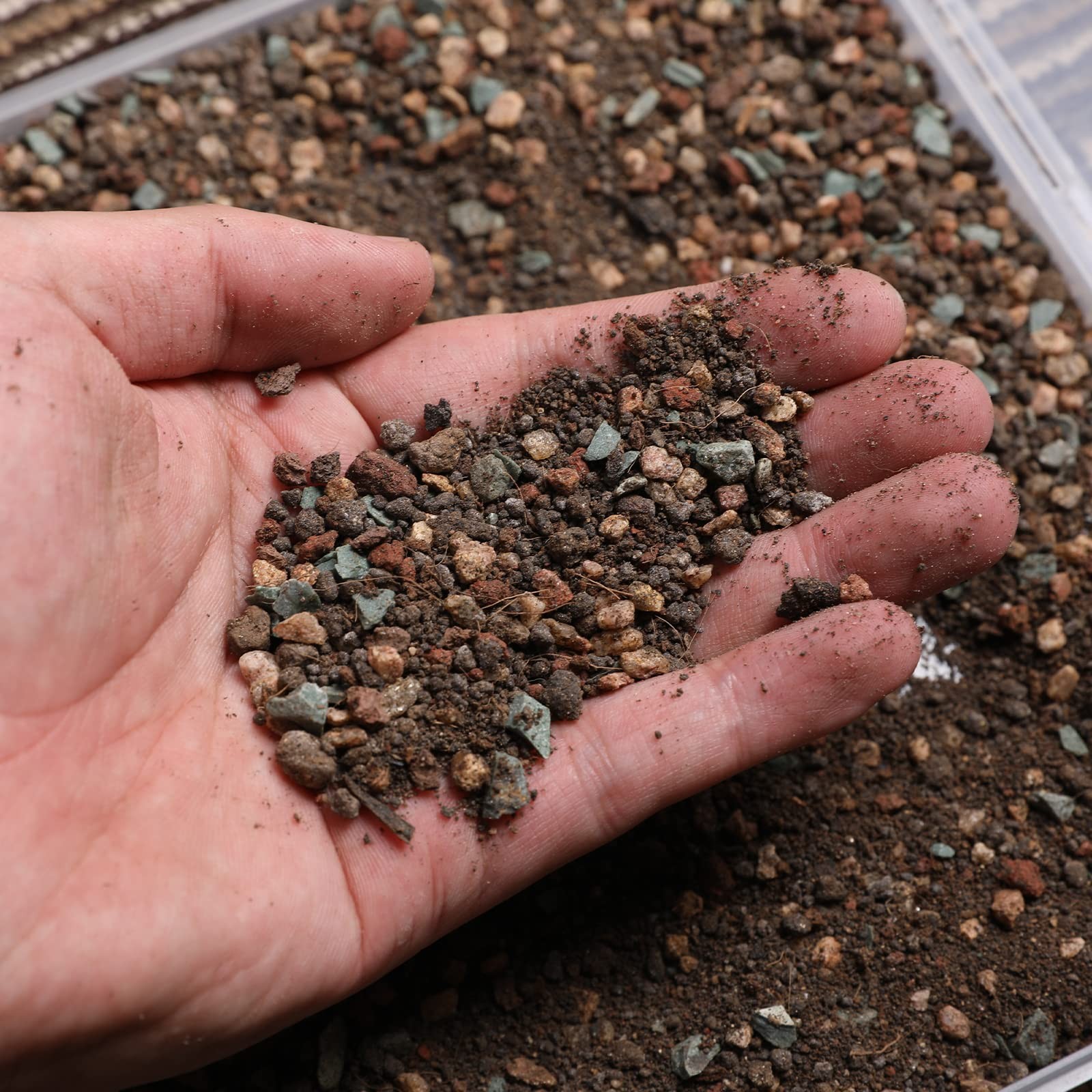 Doter Succulent and Cactus Soil Potting Mix 5.5 LBS, Bonsai lbs