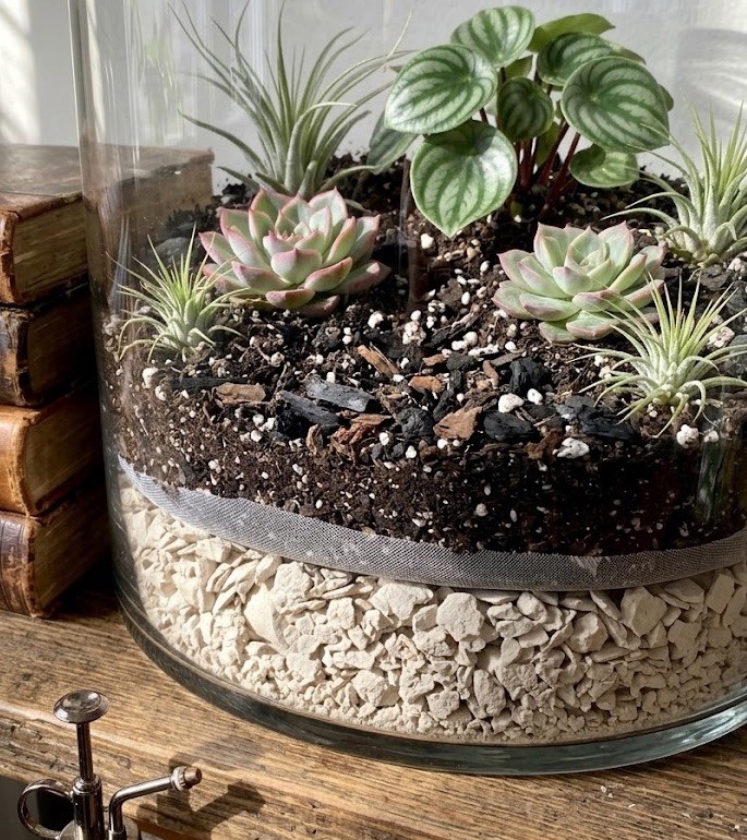 Crushed Limestone Rock Chips, Calcium, 5 Lbs Succulents, Bonsai, Terrariums