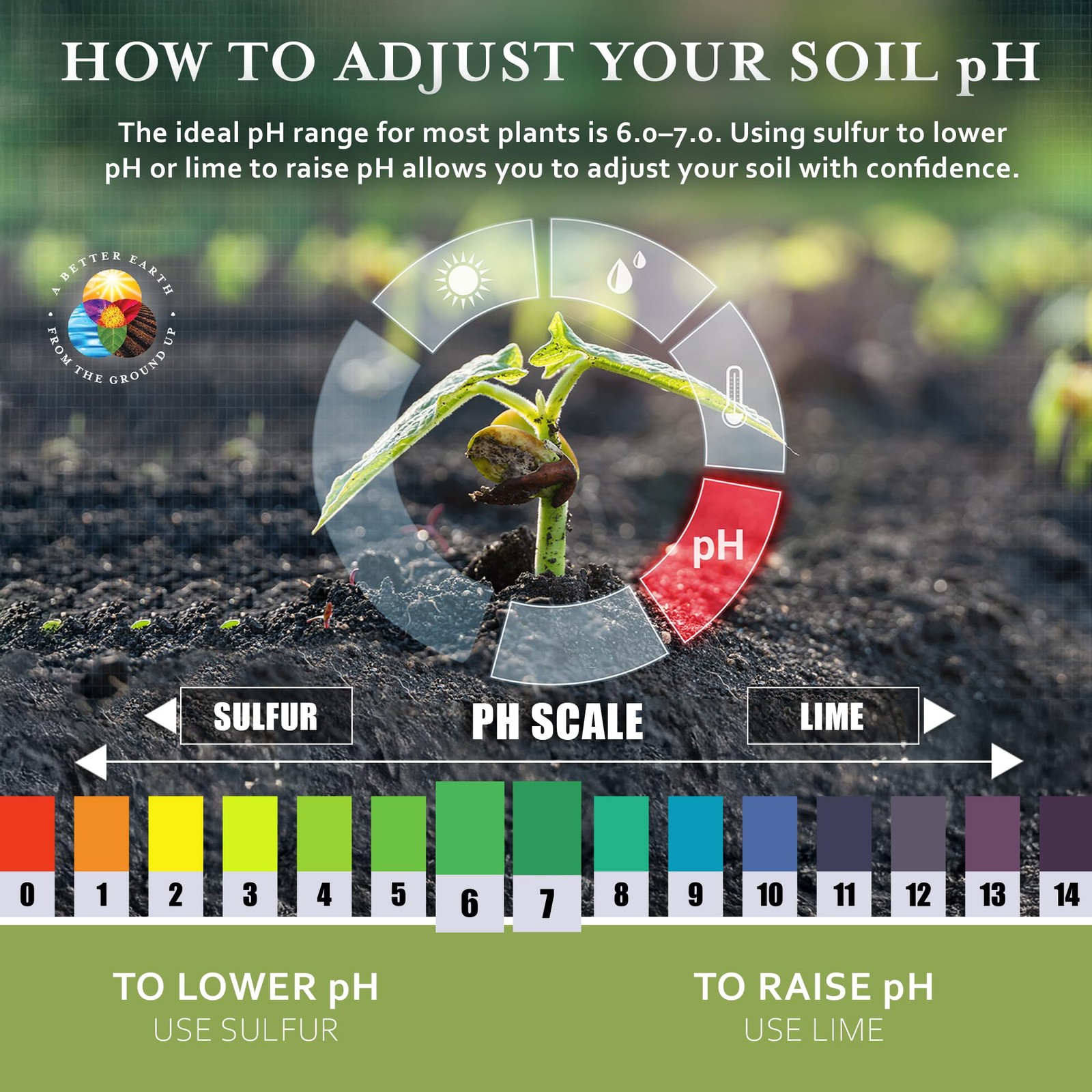 Fast Acting Sulfur Granules 5lb Lowers Soil pH, Boosts Growth for Acid Plants
