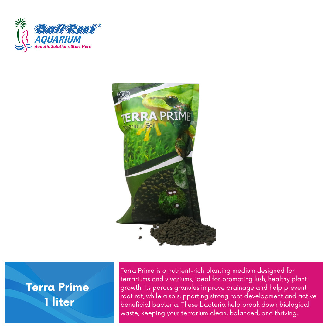 Terra Prime – Nutrient-Rich Planting Medium for Terrariums & Vivariums 1 Liters