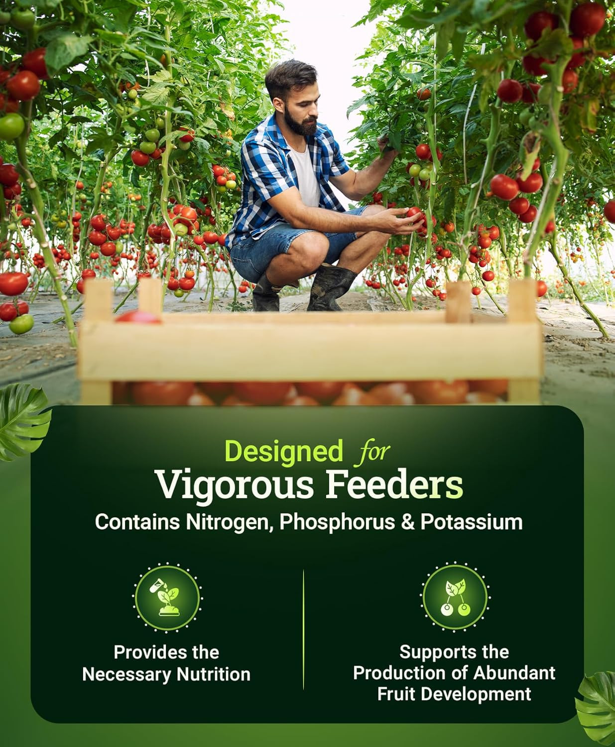 FoxFarm Happy Frog Tomato & Vegetable Fertilizer – Vegetable Fertilizer for Vigo