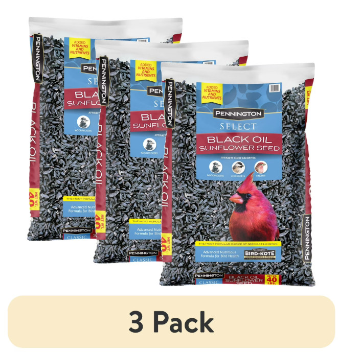 (3 pack) Pennington Select Black Oil Sunflower Seed Wild Bird Dry Feed, 10 lb.