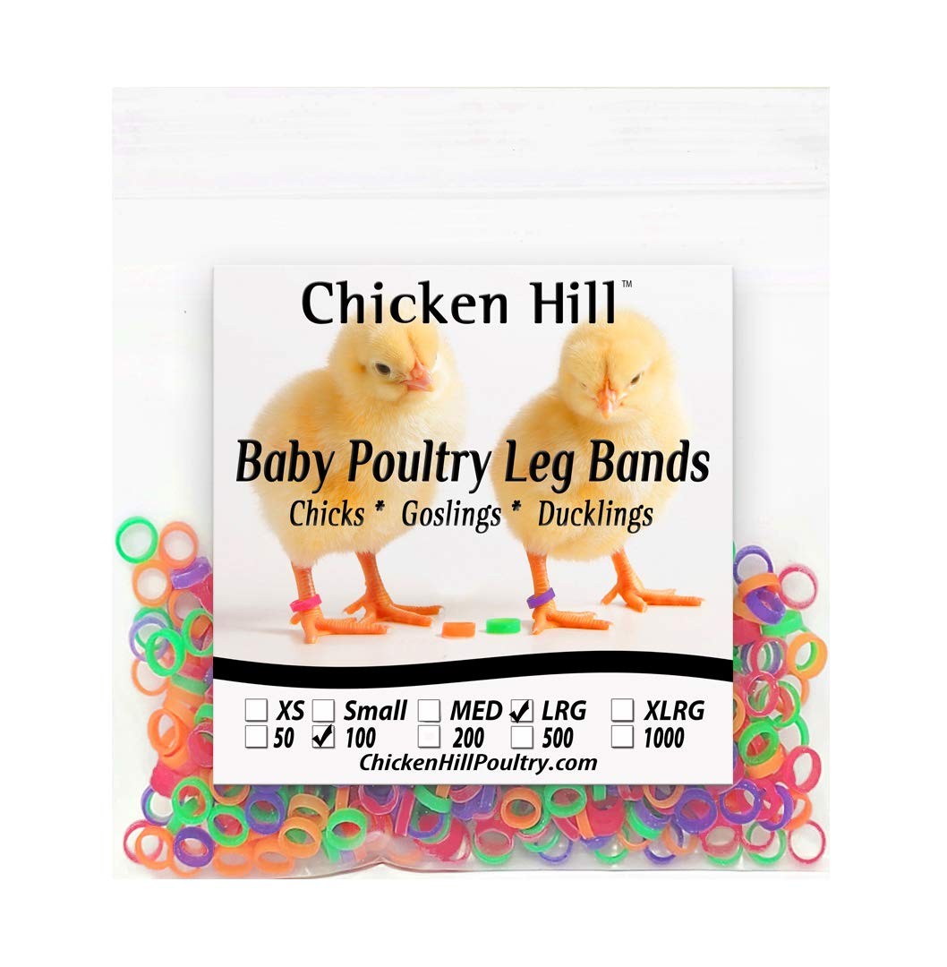 100 PCS Baby Poultry Leg Bands 5/16 Inch Large Size 5 Chick Ring Markers