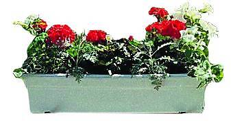 Novelty Mfg Countryside Flowerbox