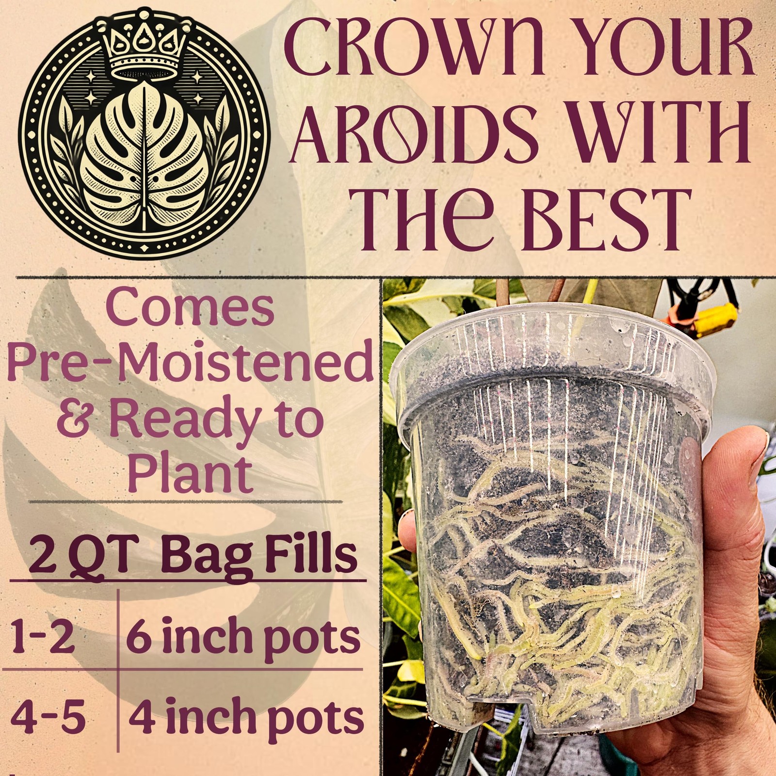 Craft Aroid Potting Mix- Elite Organic Alocasia, Philodendron, Monstera Soil …