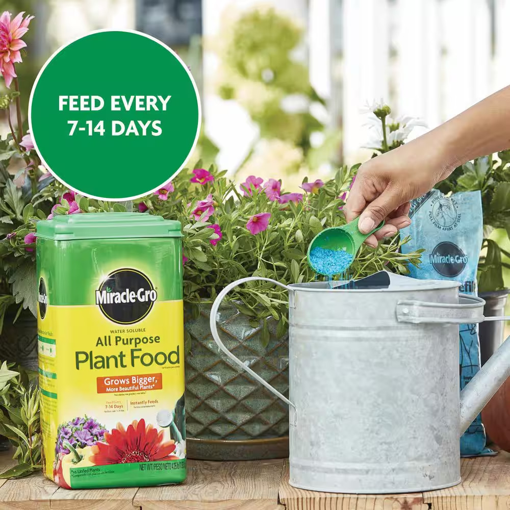 4.25 lb Water Soluble All Purpose Plant Food for Indoor Outdoor Plants