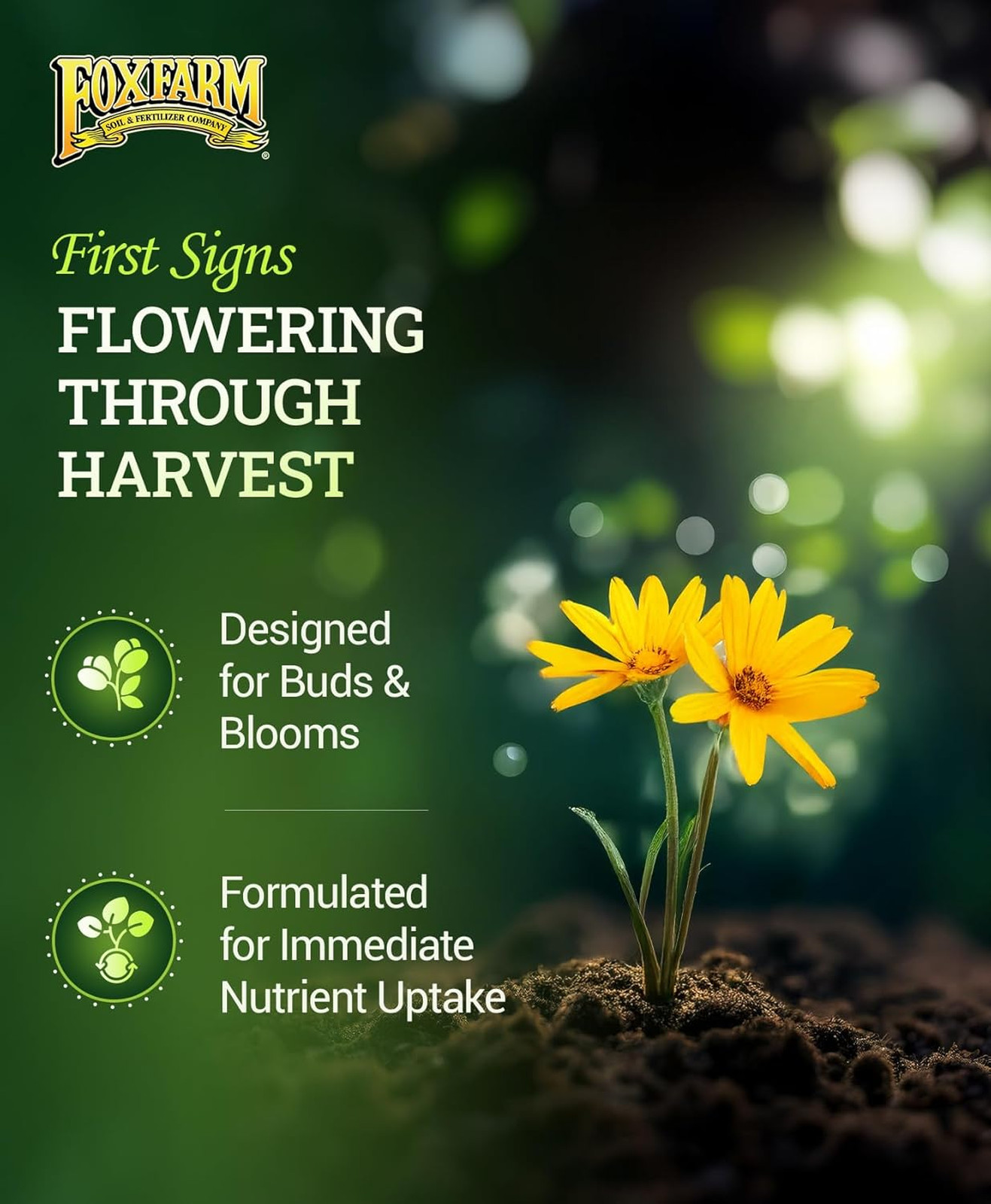 Liquid Plant Food Fertilizer 2-8-4 for Buds Blooms Flowers Supports Soil