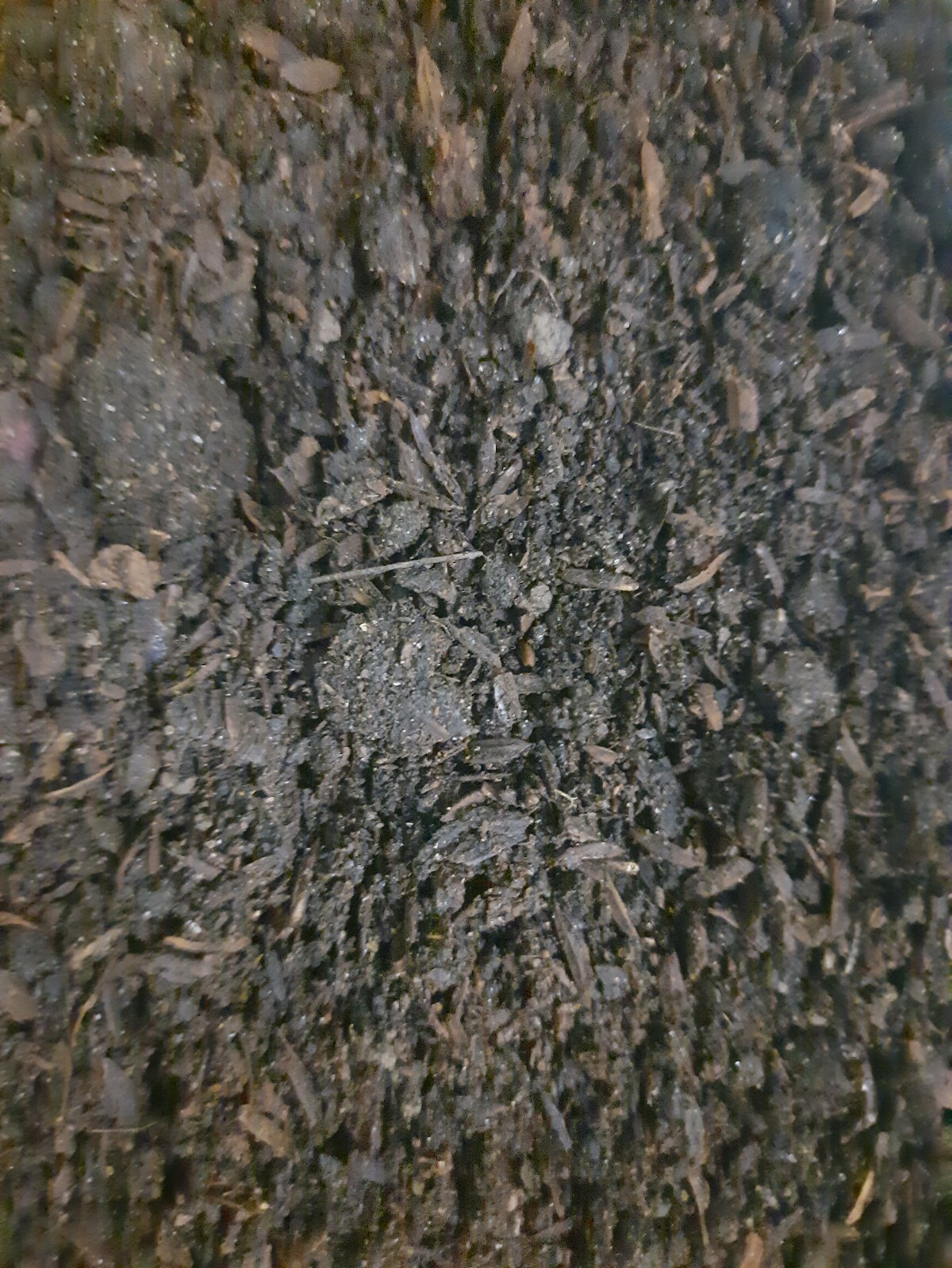 Goat Manure Organic Fertilizer Natural High Nitrogen Compost 1kg