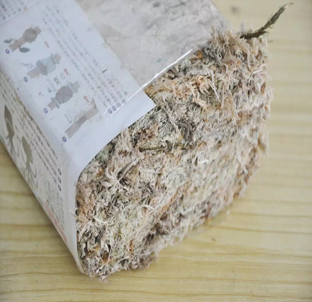 Water Moss Dry Moss Water Grass Substrates For Orchid Phalaenopsis 6L Water Moss