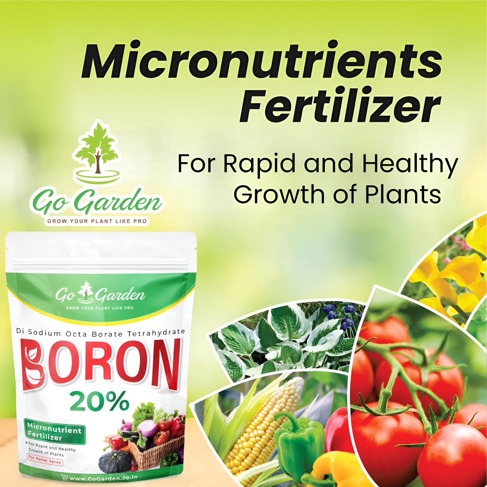 Boron 20% Micronutrient Fertilizer – Boosts Vegetable Growth, 250g Powder Fer…
