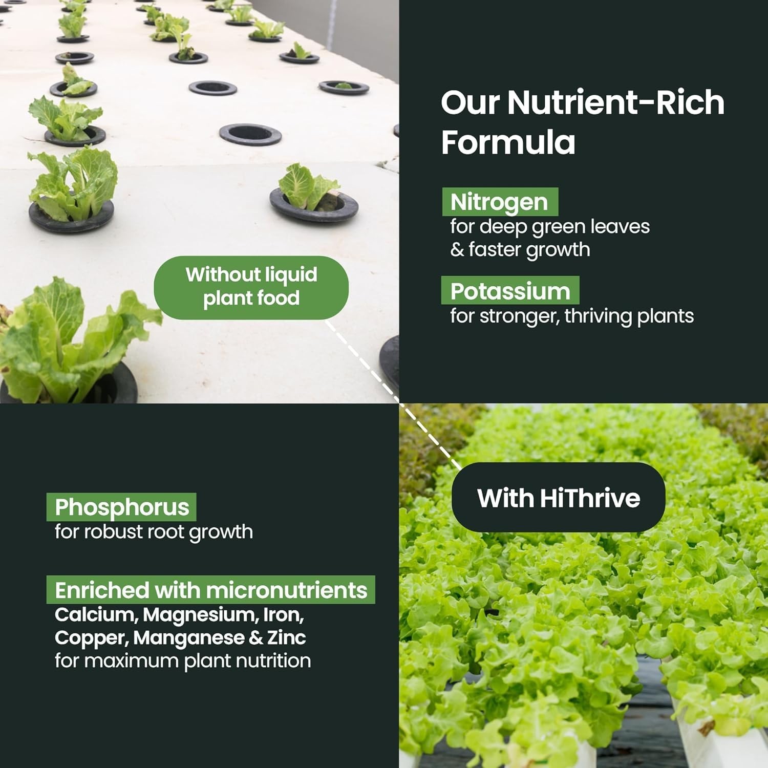 Liquid Plant Food Fertilizer 32oz Hydroponic Nutrients Nutrient Solution for