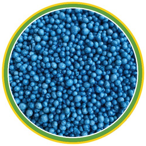 Indoor & Outdoor Plant Food 19-6-12 Fertilizer, Feeds up to 6 Months; 2 lb.