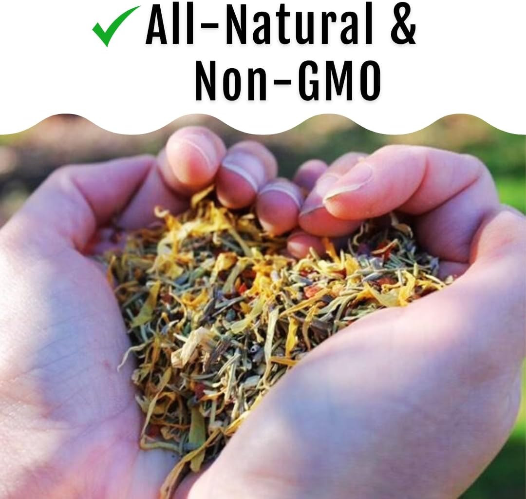 Herb Supplement for Backyard Chickens – Natural Chicken Treats, Poultry Feed Bot