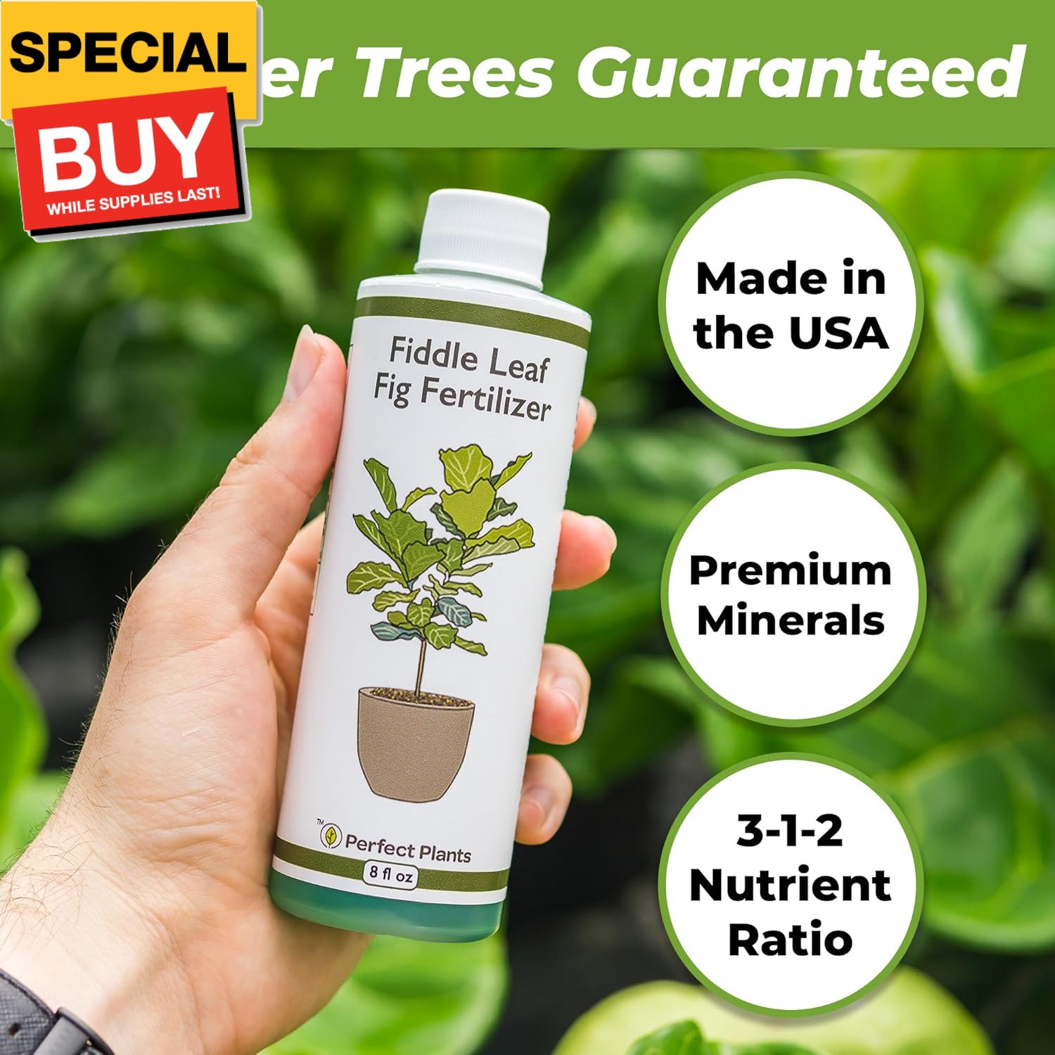 Liquid Fiddle Leaf Fig Fertilizer | 8oz. of Premium Concentrated Indoor Ficus Fo
