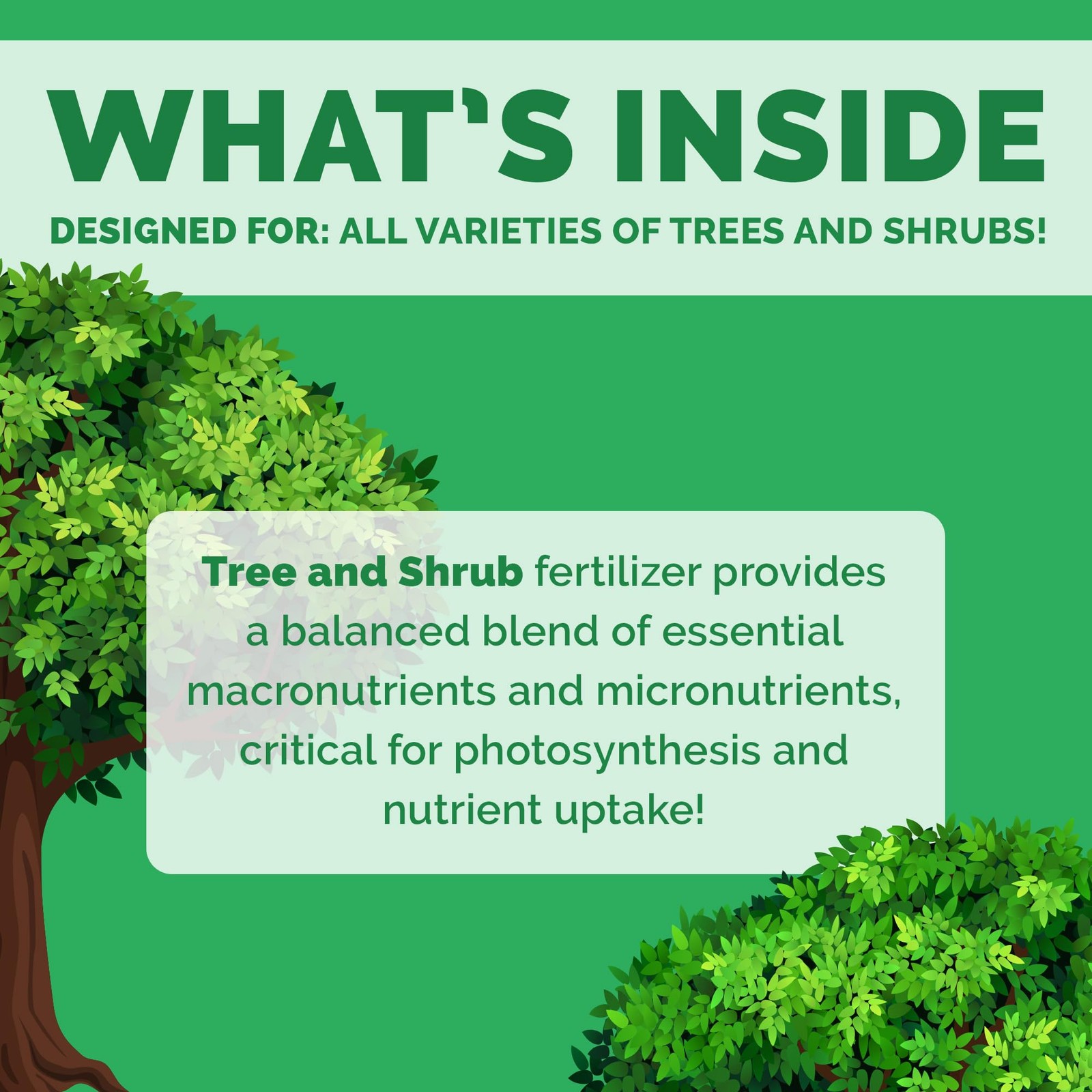 ‘s Tree Fertilizer & Shrub Fertilizer for Healthier Growth 32 oz (1 Quart)