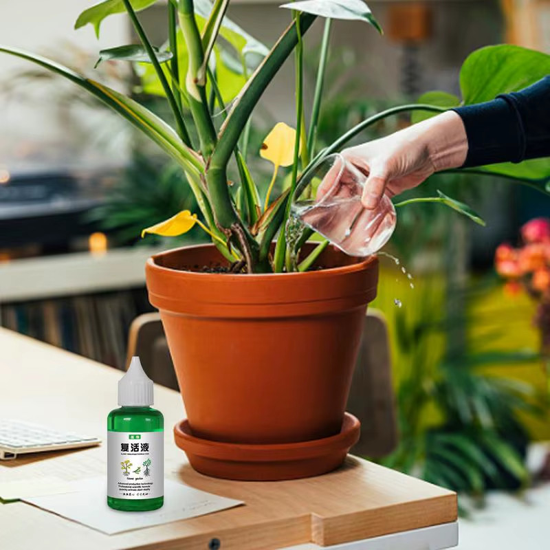 50Ml Plant Resurrection Liquid Universal Plant Nutrient Solution Gardenia Orchid