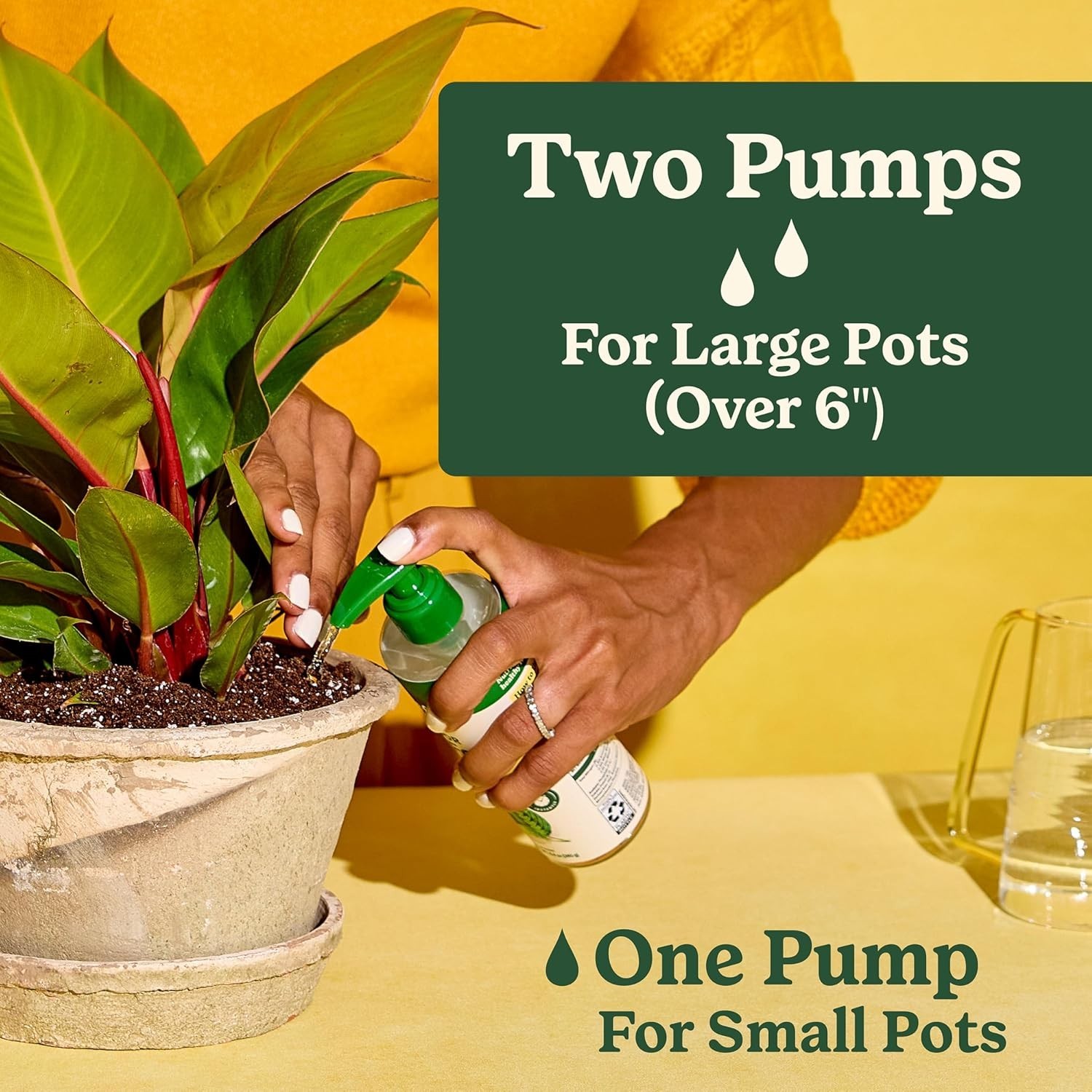 All-Purpose Plant Food – 2 Bottles of 8 fl. oz. Liquid for Healthy Houseplants