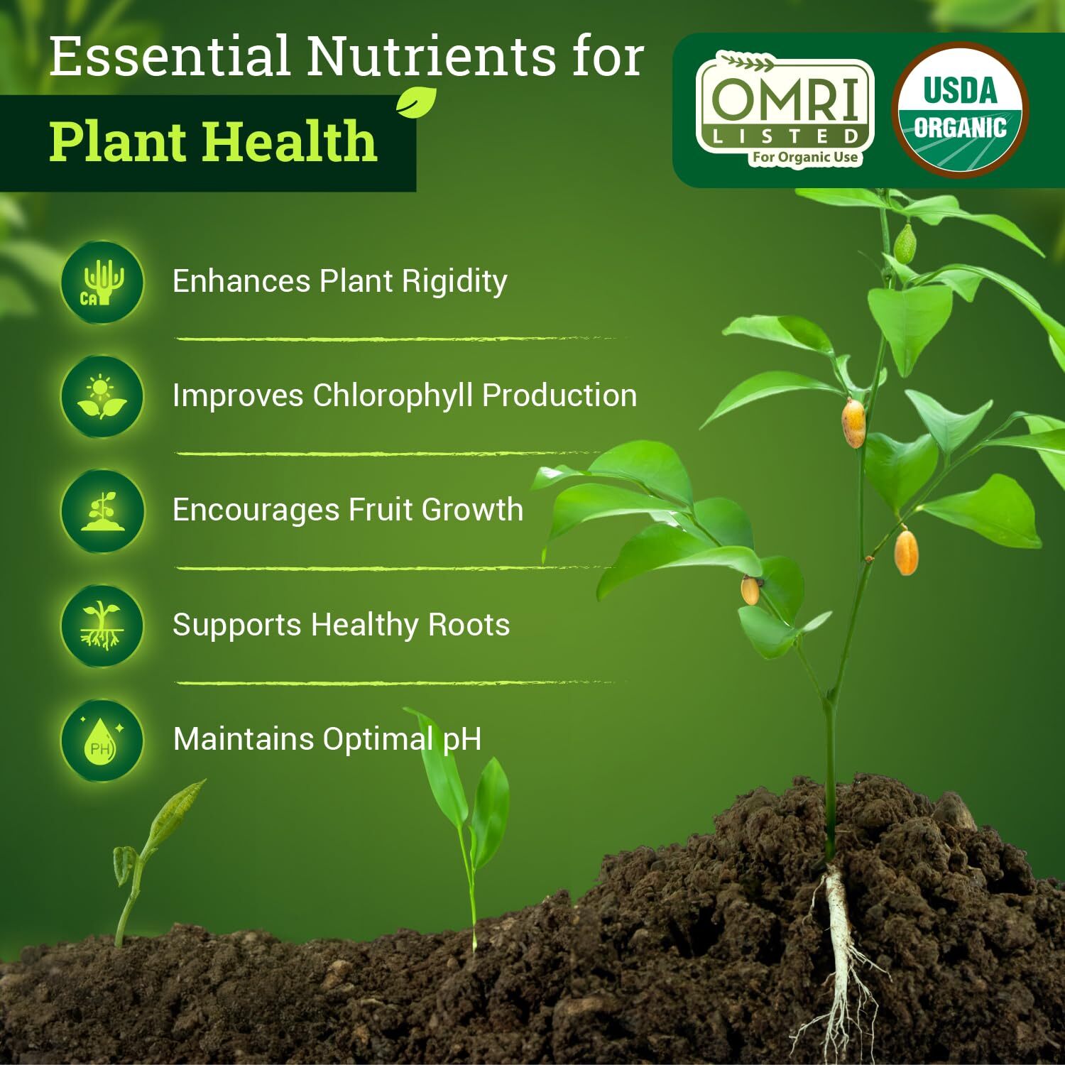 FoxFarm Bush Doctor Cal Mag Fertilizer 1 Quart for Healthy Plants and Gardens