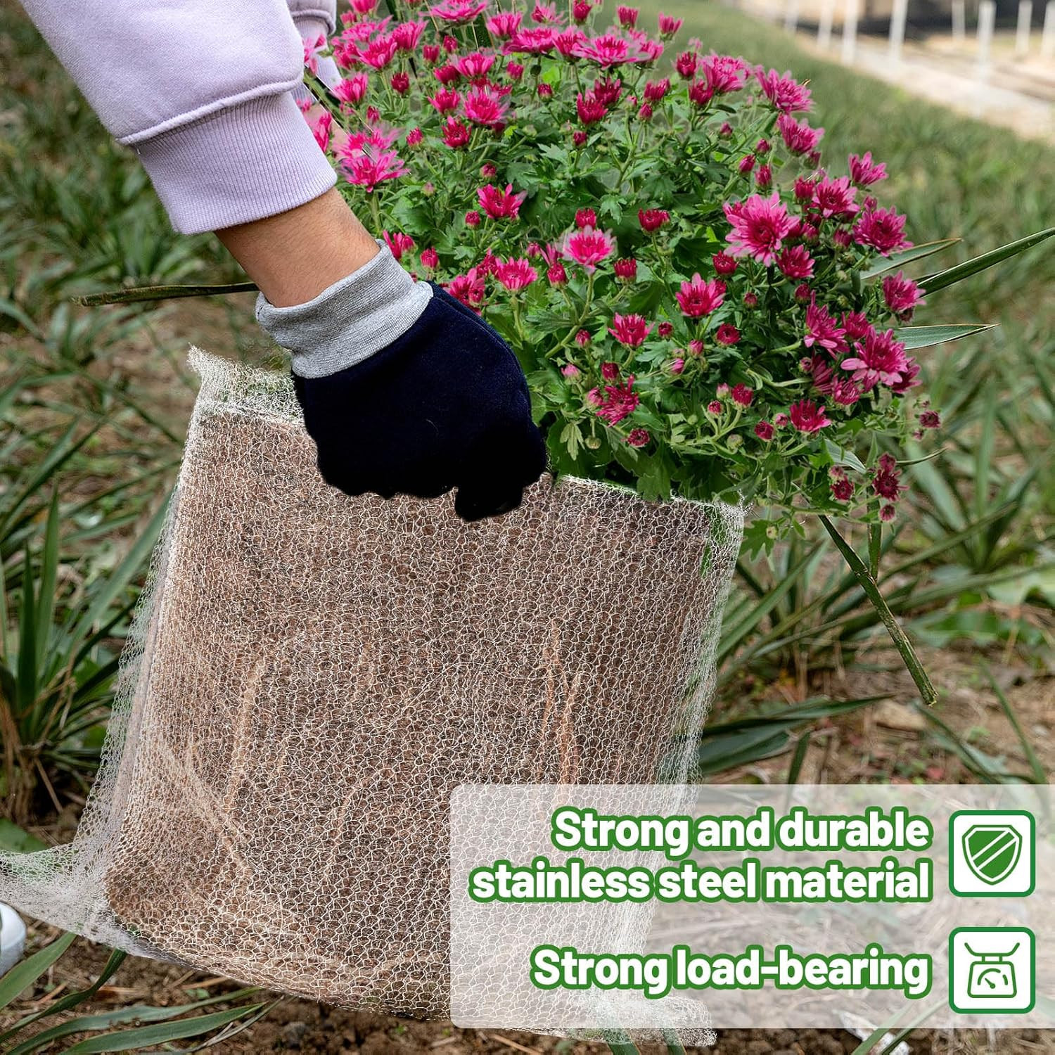 5 Gallon Plant Root Protector for Gopher Voles Moles, 6 Pack Stainless Steel Gua