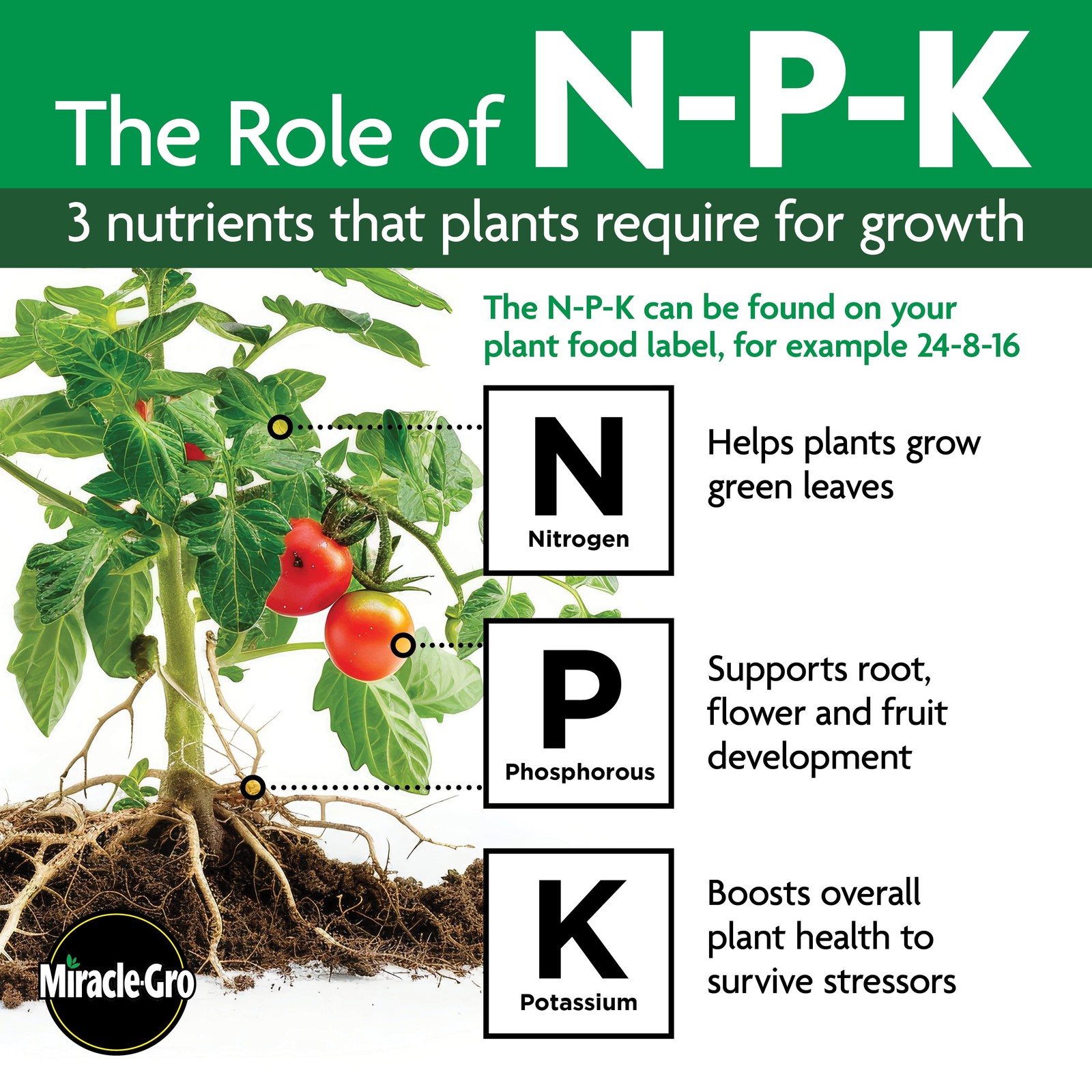 Miracle Gro Liquafeed All Purpose Plant Food Fertilizer, 4 Pack