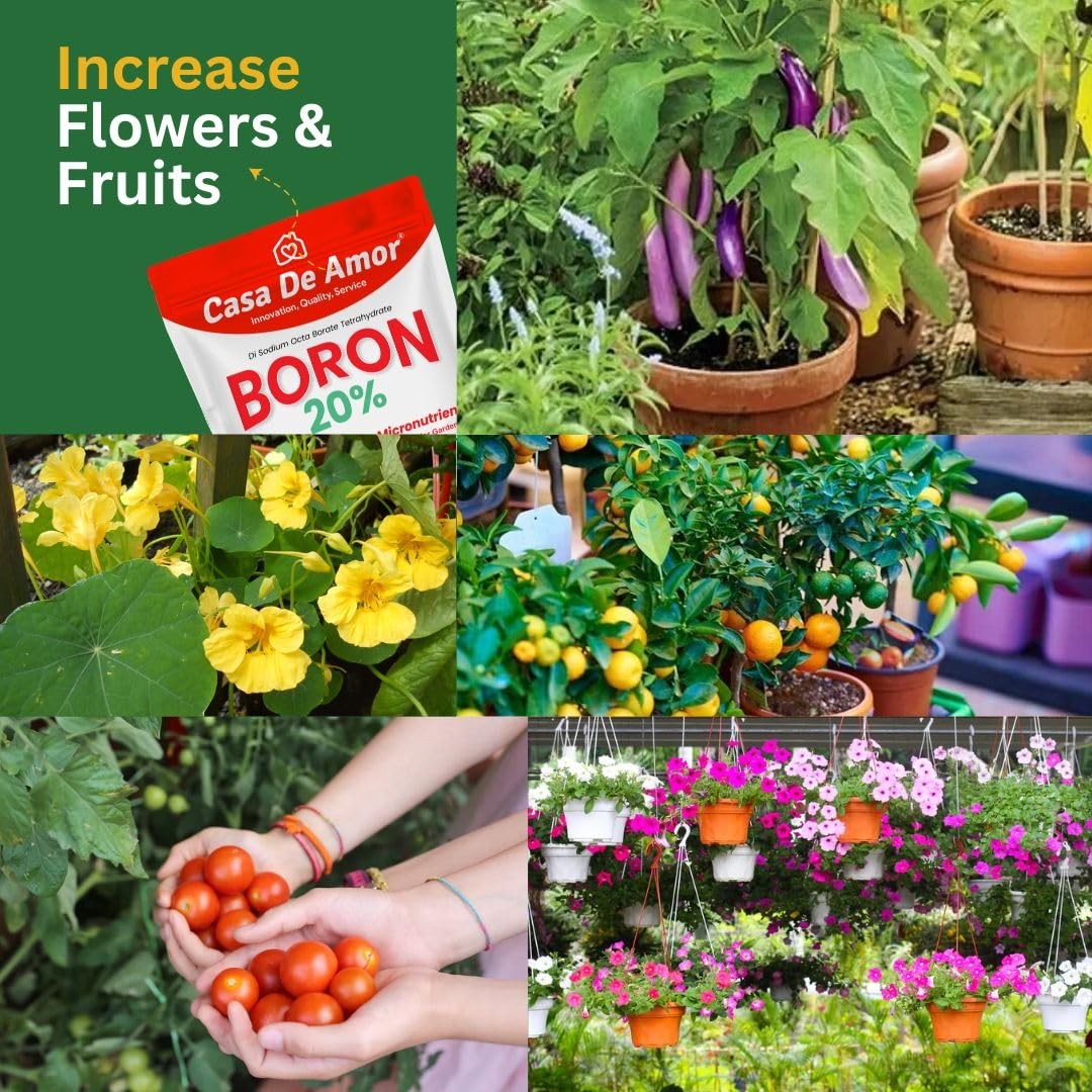 Casa De Amor Boron 20% 100g | Micronutrient for Healthy Vegetable Plants