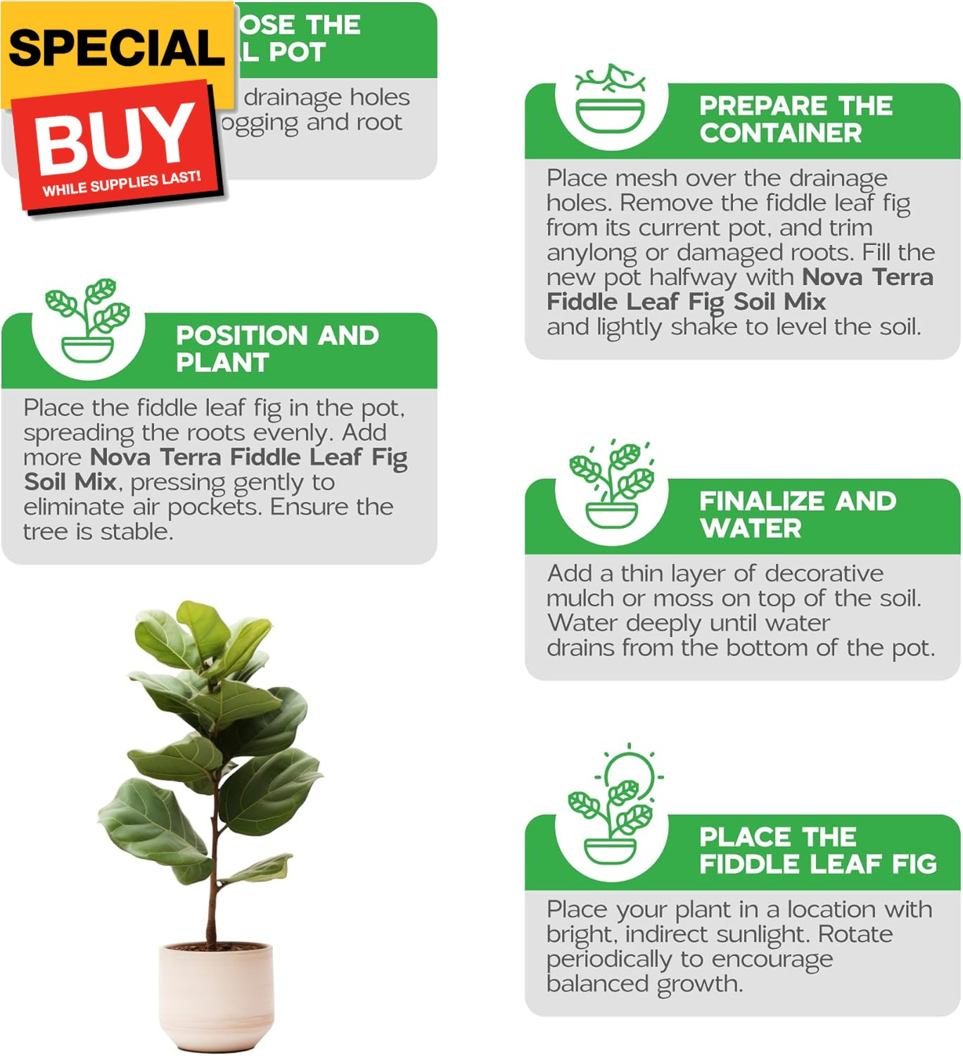 Fiddle Leaf fig Soil Plant Food fig Trees Live Plants Fertilizer Seed Starter So