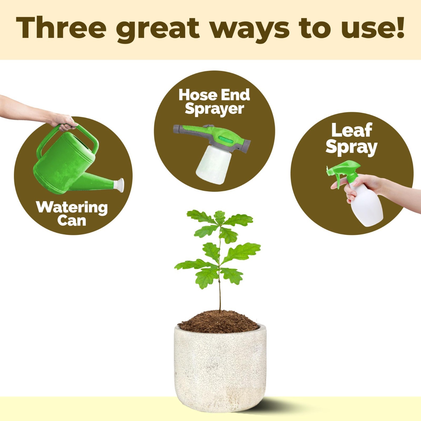 Liquid Fertilizer for Oak Trees – Plant Food for Healthy Growth & Strong Roots,