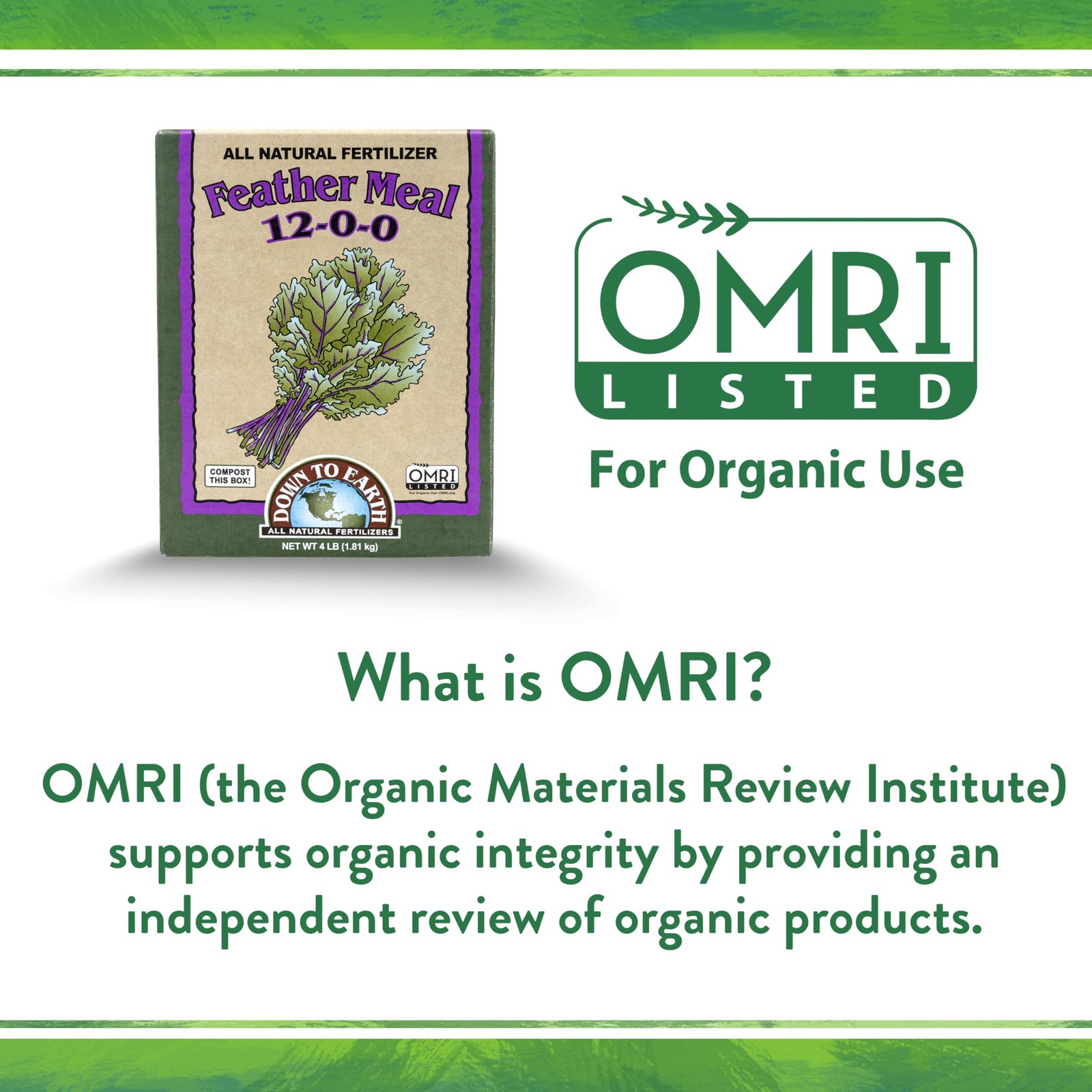 Organic High Nitrogen Fertilizer 12 0 0 Slow Release For Healthy Plants