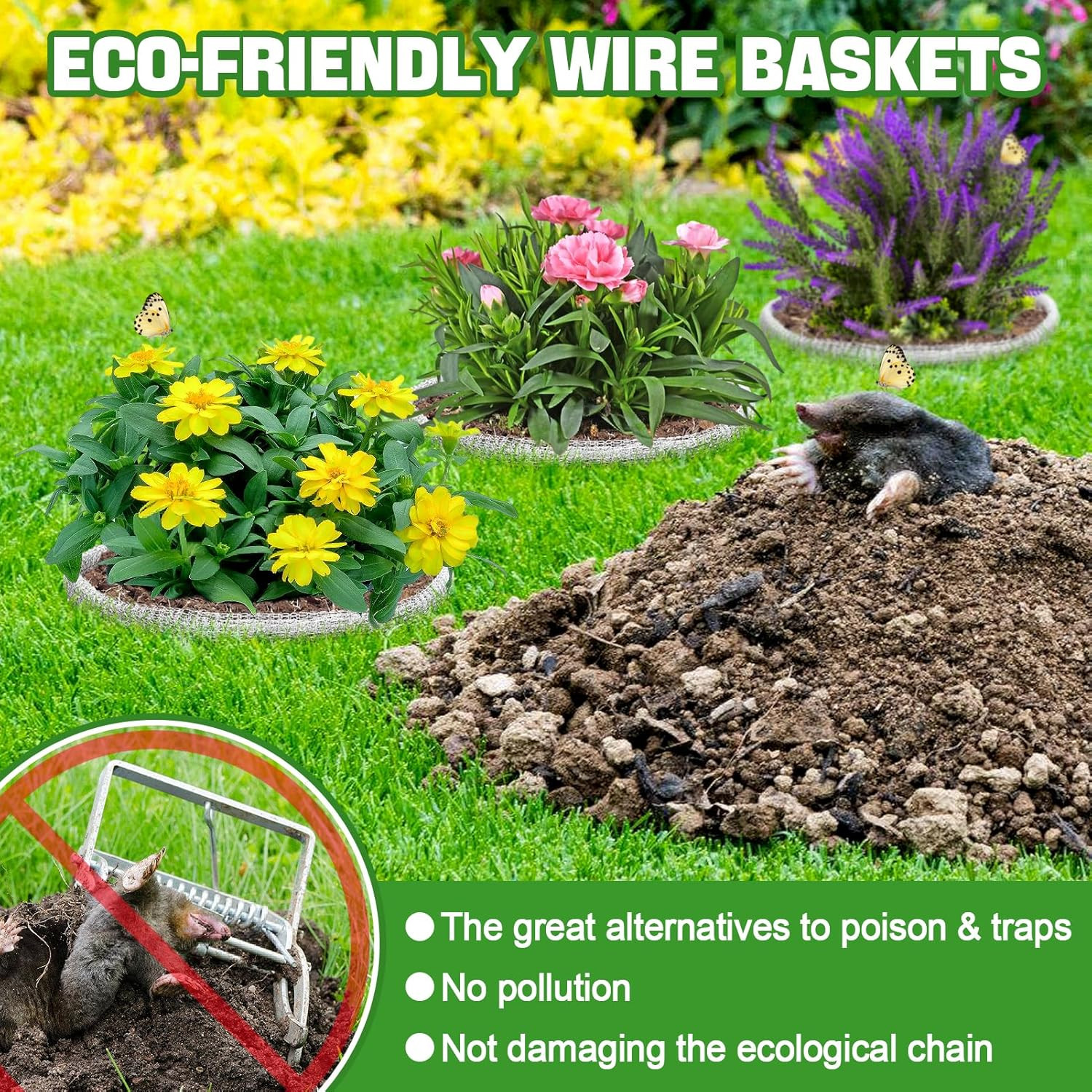 5 Gallon Plant Root Protector for Gopher Voles Moles, 6 Pack Stainless Steel Gua