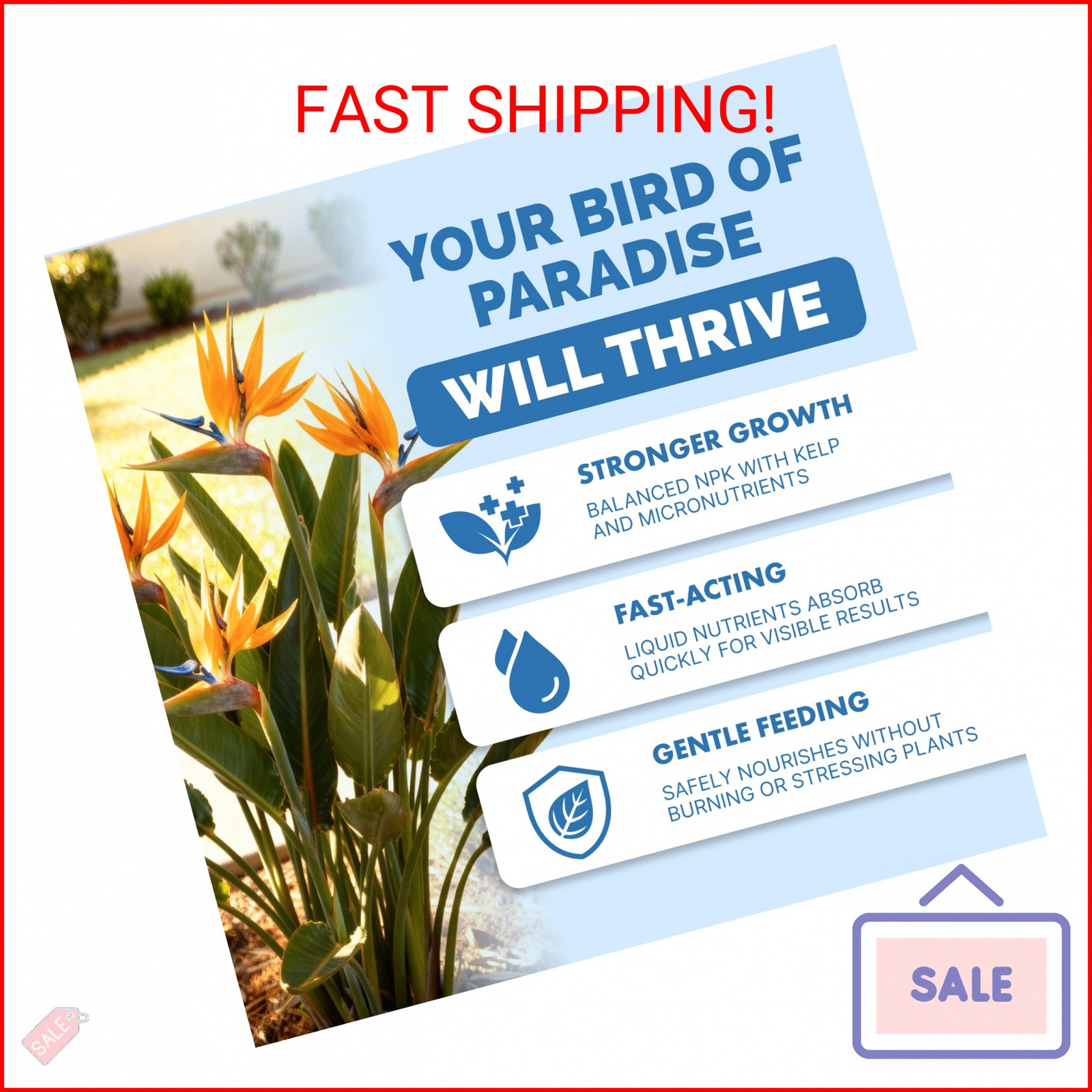 Bird of Paradise Fertilizer – Liquid Plant Food for Bigger Tropical Leaves, Stro