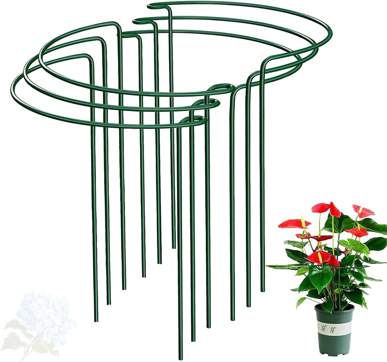 Half Round Snake Plant Support Stakes, Plant Ring for Peonies, Hydrangeas, ZZ, a