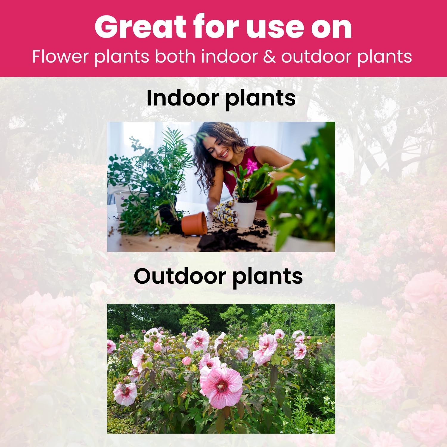 Biogrowth Vivid Enzyme Organic Plant Food – Fertilizer for Flowers and Lawns