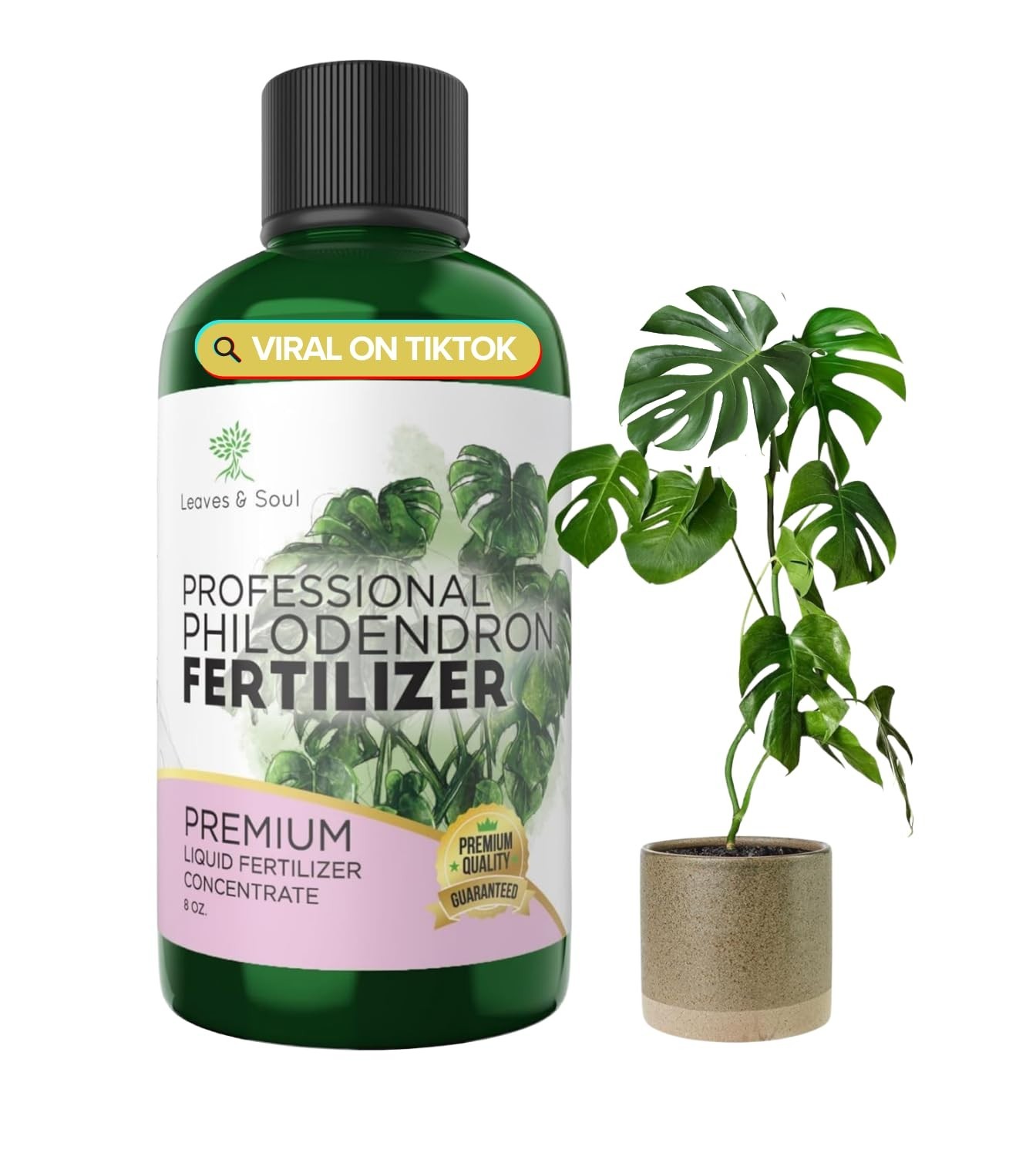 Professional Liquid Philodendron Plant Fertilizer | 3-1-2 Concentrate for Hou…