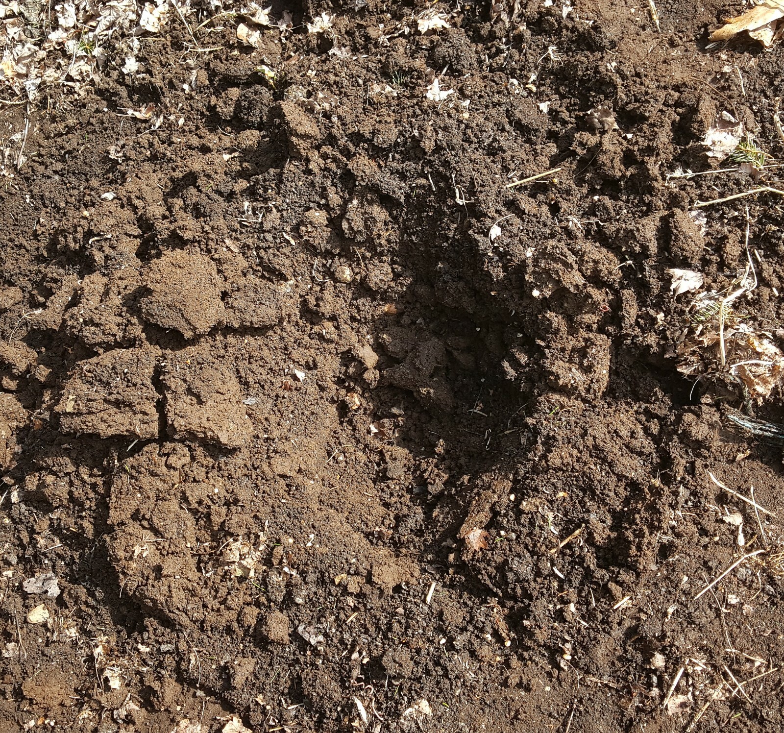 10 pounds Fresh Alpaca Manure Already Composted – Ready to Use!