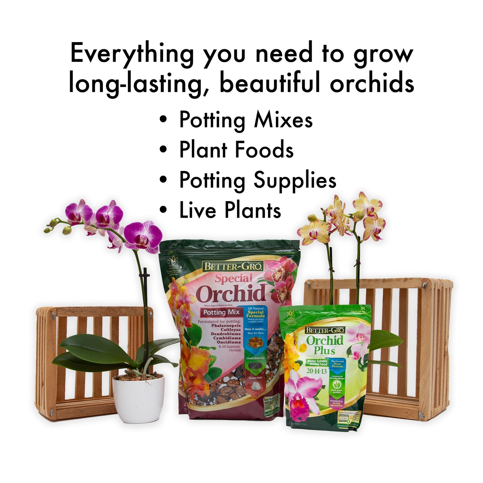 Better-Gro Orchid Plus 20-14-13 Urea-Free Orchid Fertilizer for Vigorous Growth