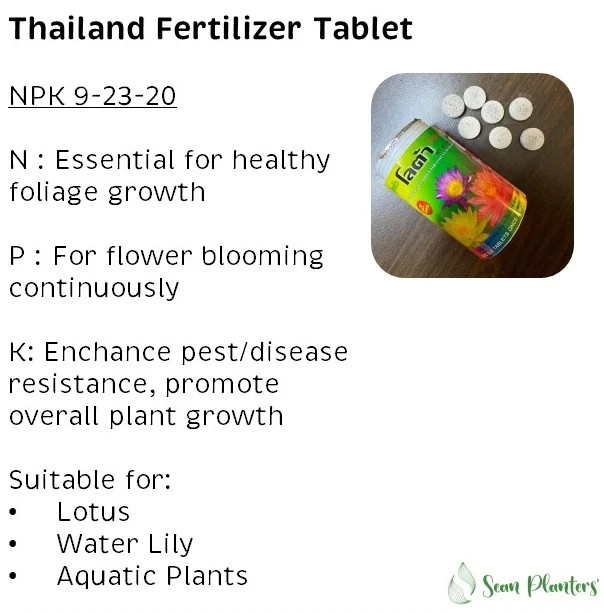Lotus fertilizer aquatic plants Accelerate flowers leaves color 50 Tab (250g)