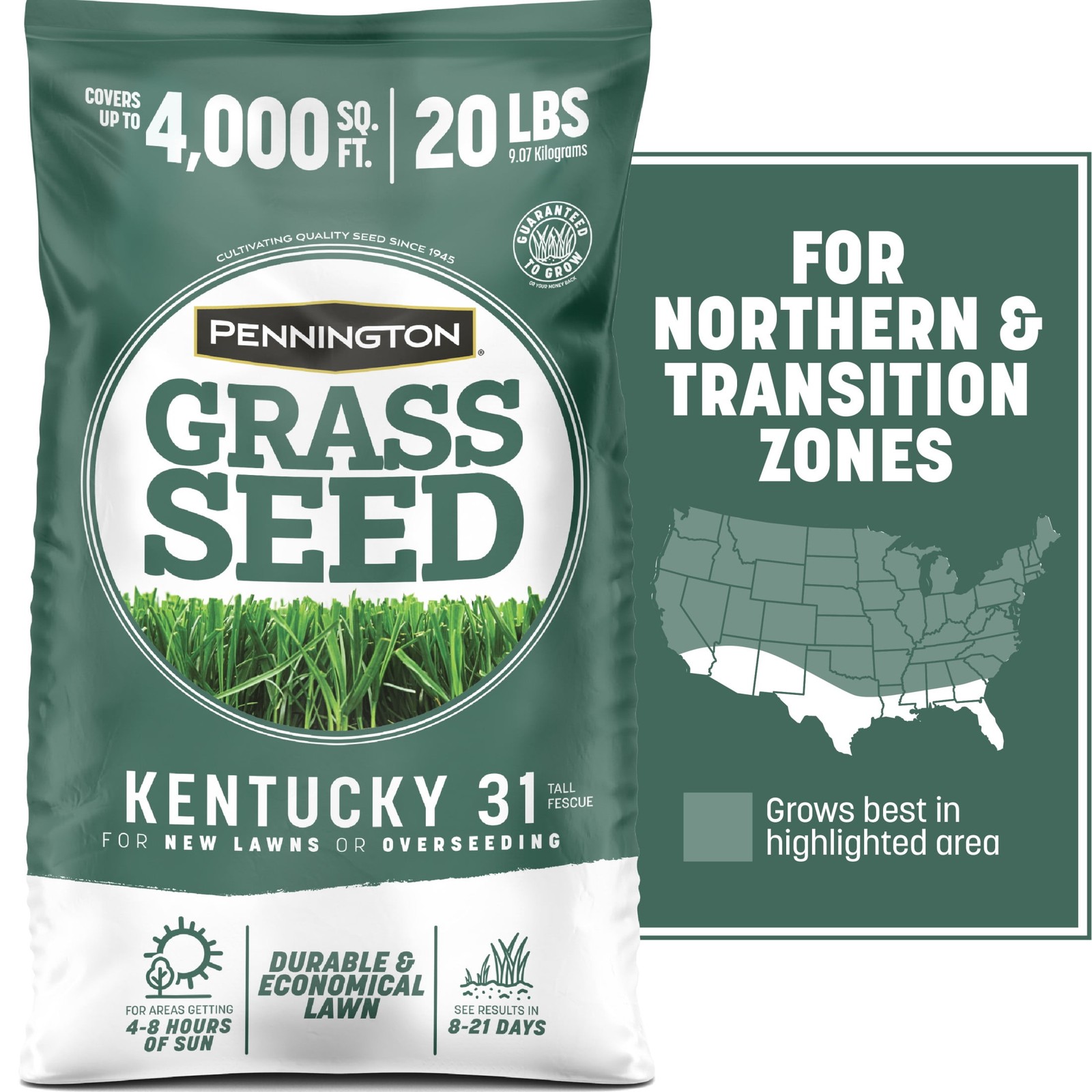 Kentucky 31 Tall Fescue Grass Seed Sun to Partial Shade 20 lb.