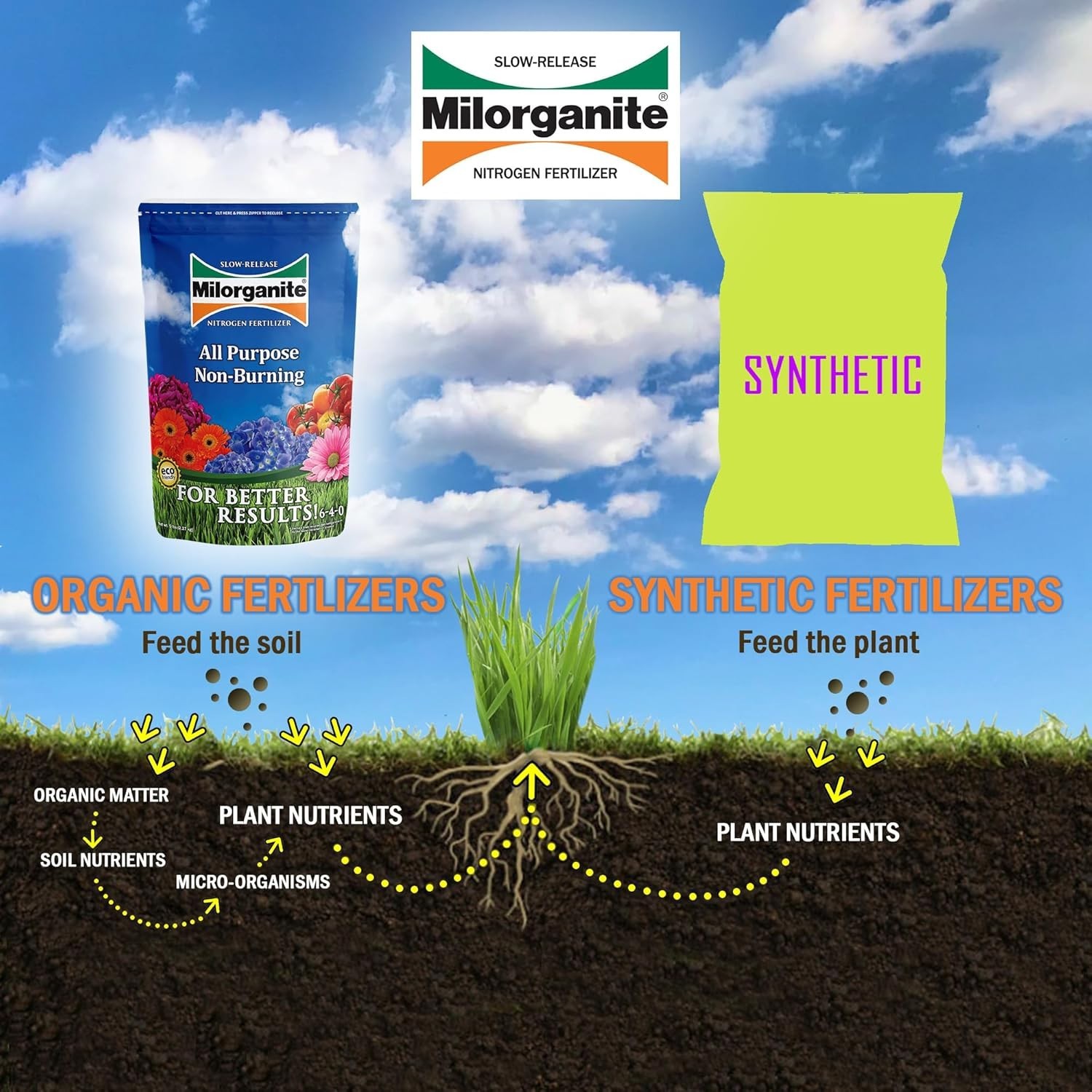5 lb All-Purpose Organic Fertilizer with Slow-Release Nitrogen for Healthy Lawns