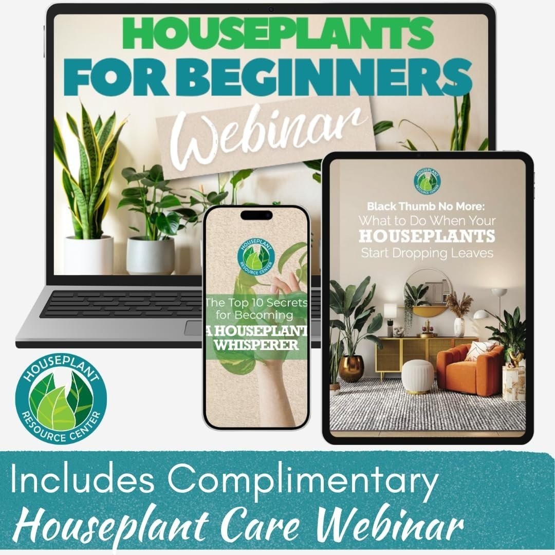 Organic Houseplant Probiotic Powder | Soil Conditioner to Improve Soil…