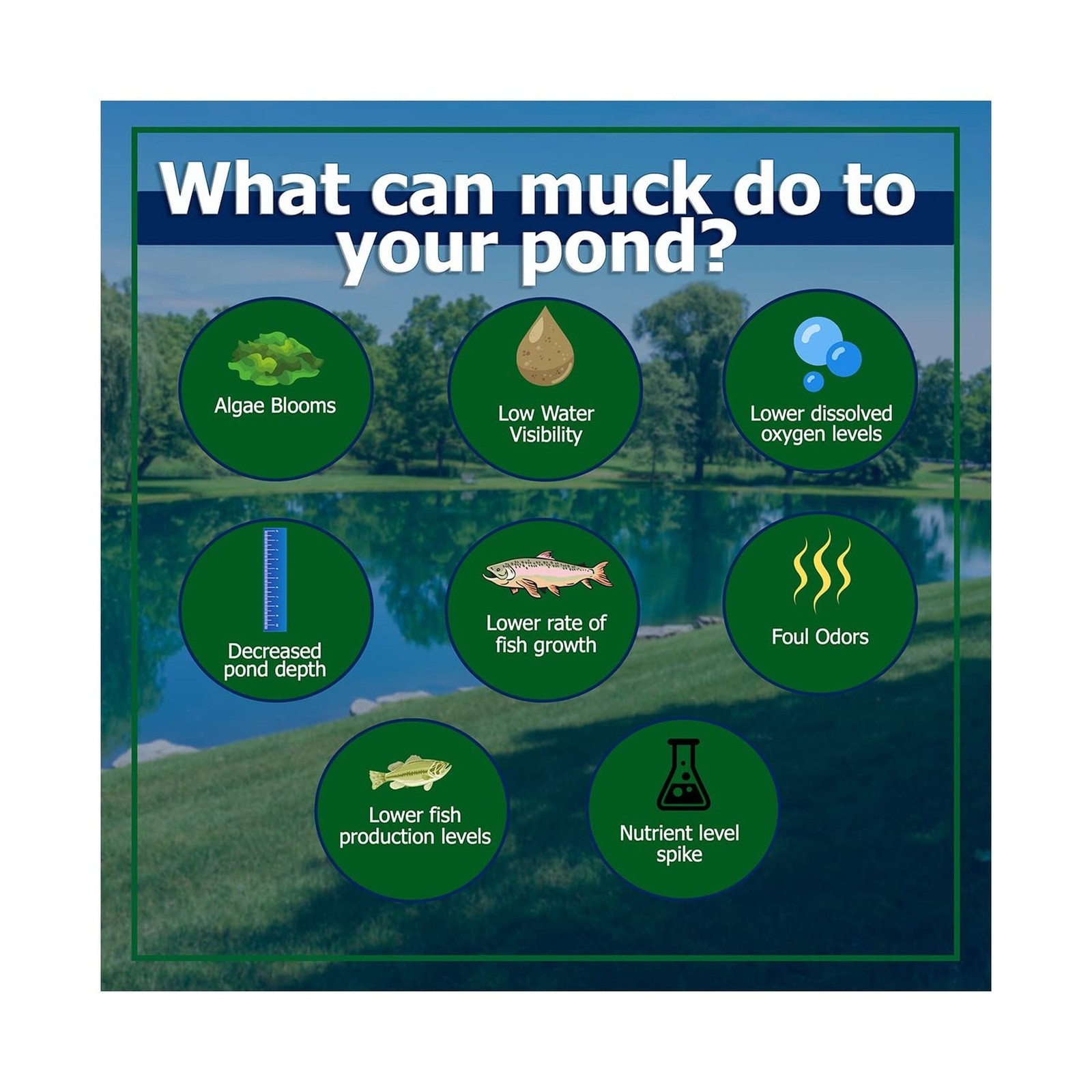Muck Remover Pellets 10 lb Pond Tablets Treats 2.5 Acres – Pond Sludge Remove…