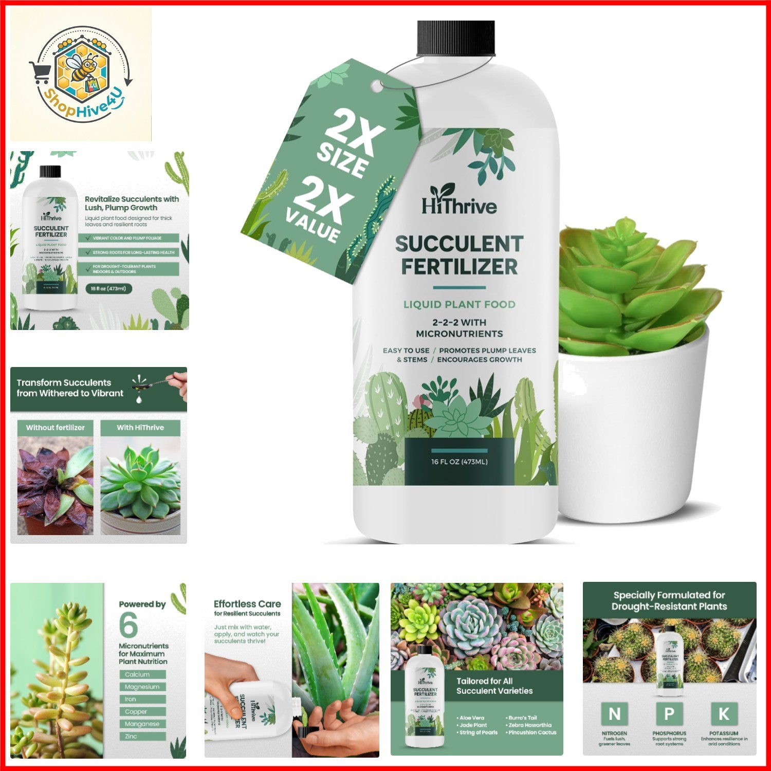 Succulent Fertilizer for Vibrant Leaves, Strong Roots & Plump Growth, 16oz | …