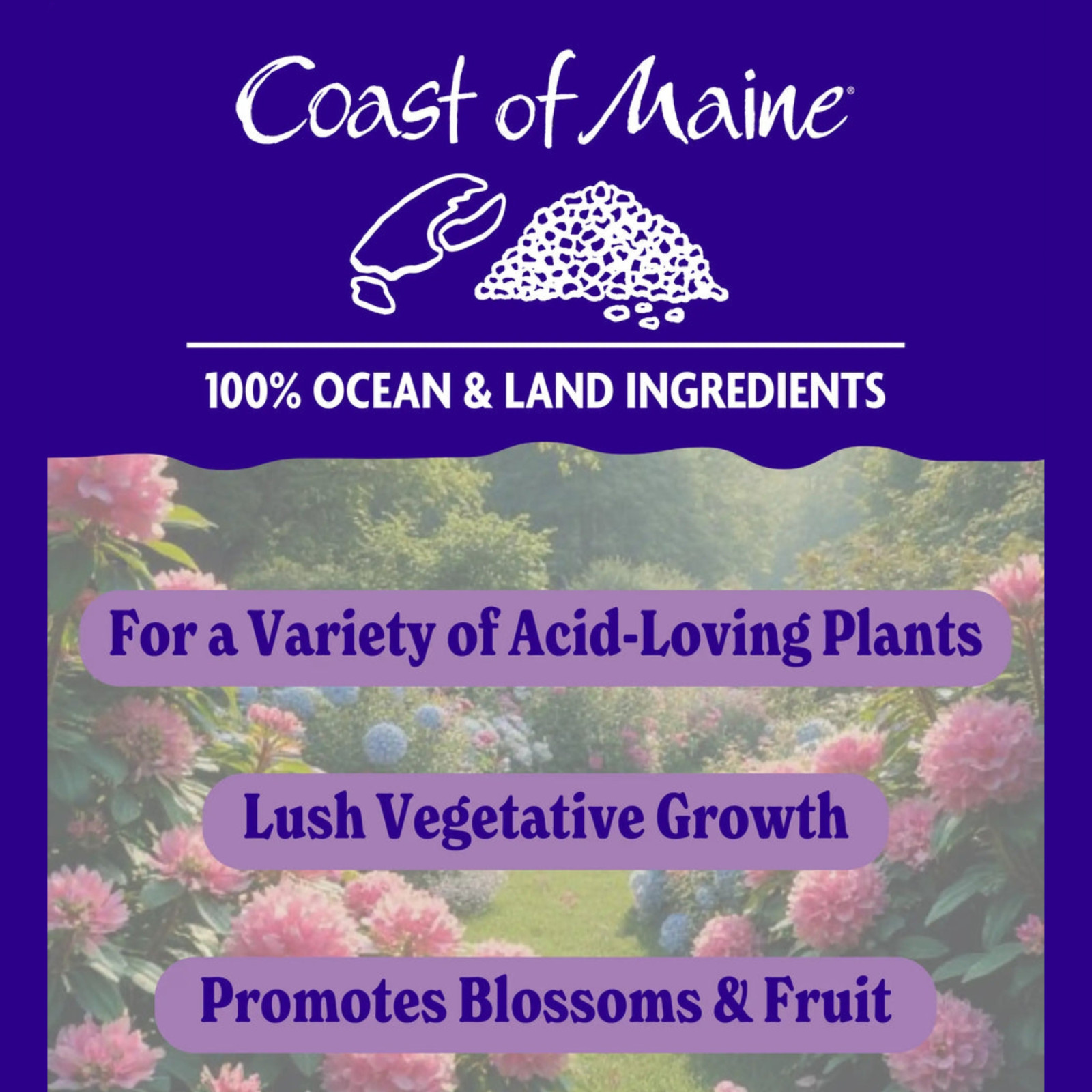Coast of Maine Fertilizer for Rhodies, Azaleas & Berries, 12lb