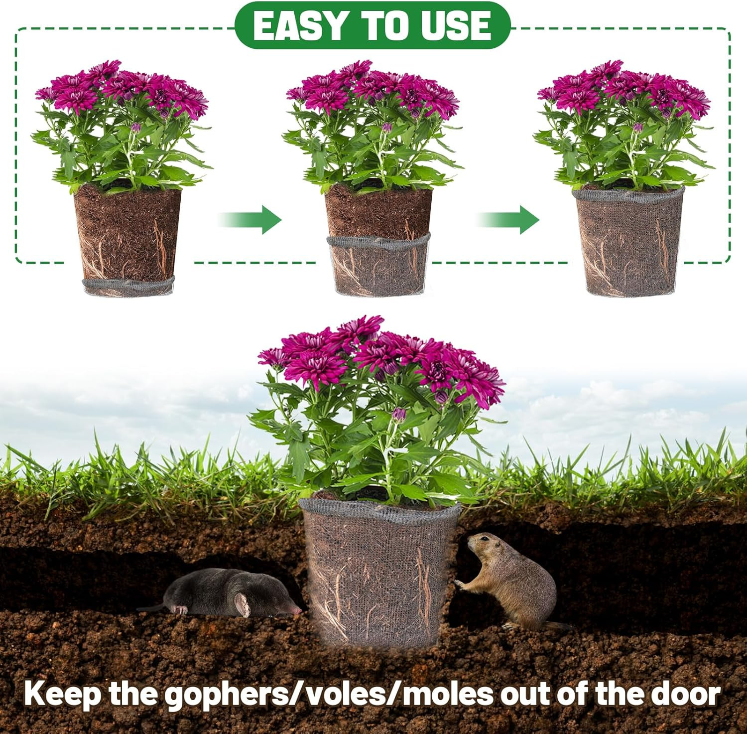 5 Gallon Plant Root Protector for Gopher Voles Moles, 6 Pack Stainless Steel Gua