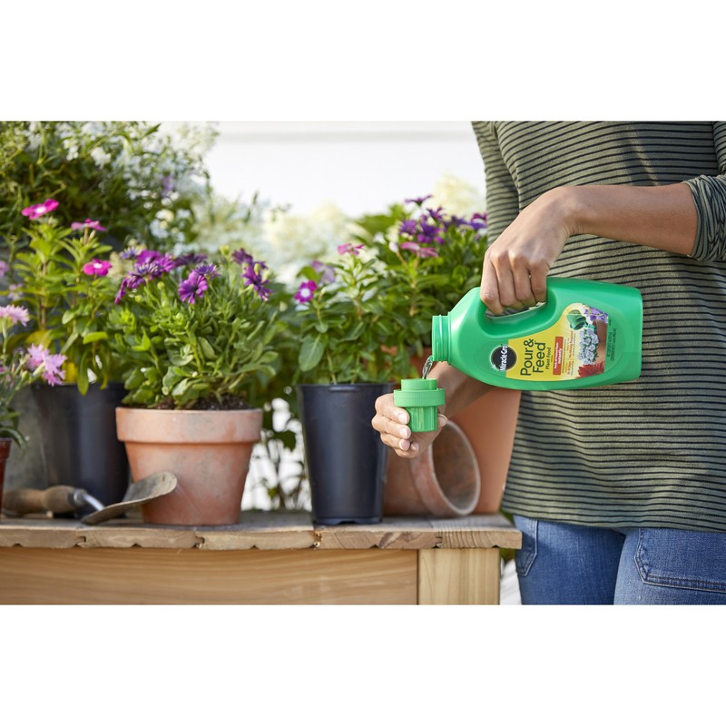 Miracle-Gro Pour & Feed Liquid Plant Food 32 oz (Pack of 3)