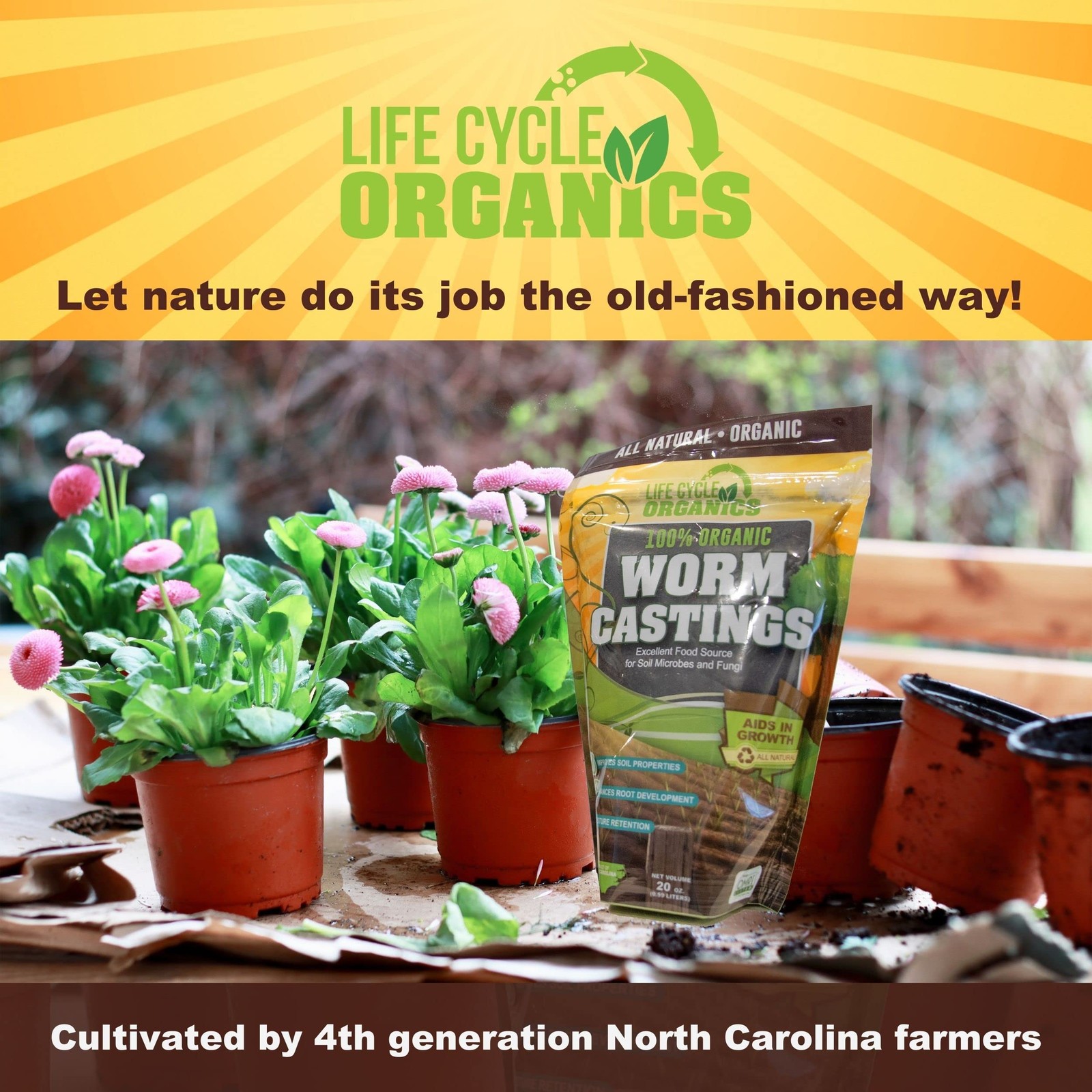 Organic Worm Castings 20 oz Natural Superfood for Healthy Plant Growth