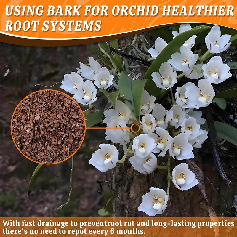 Orchid Bark Root Stability Aeration Drainage pH Neutral Sterilized Indoor Plants