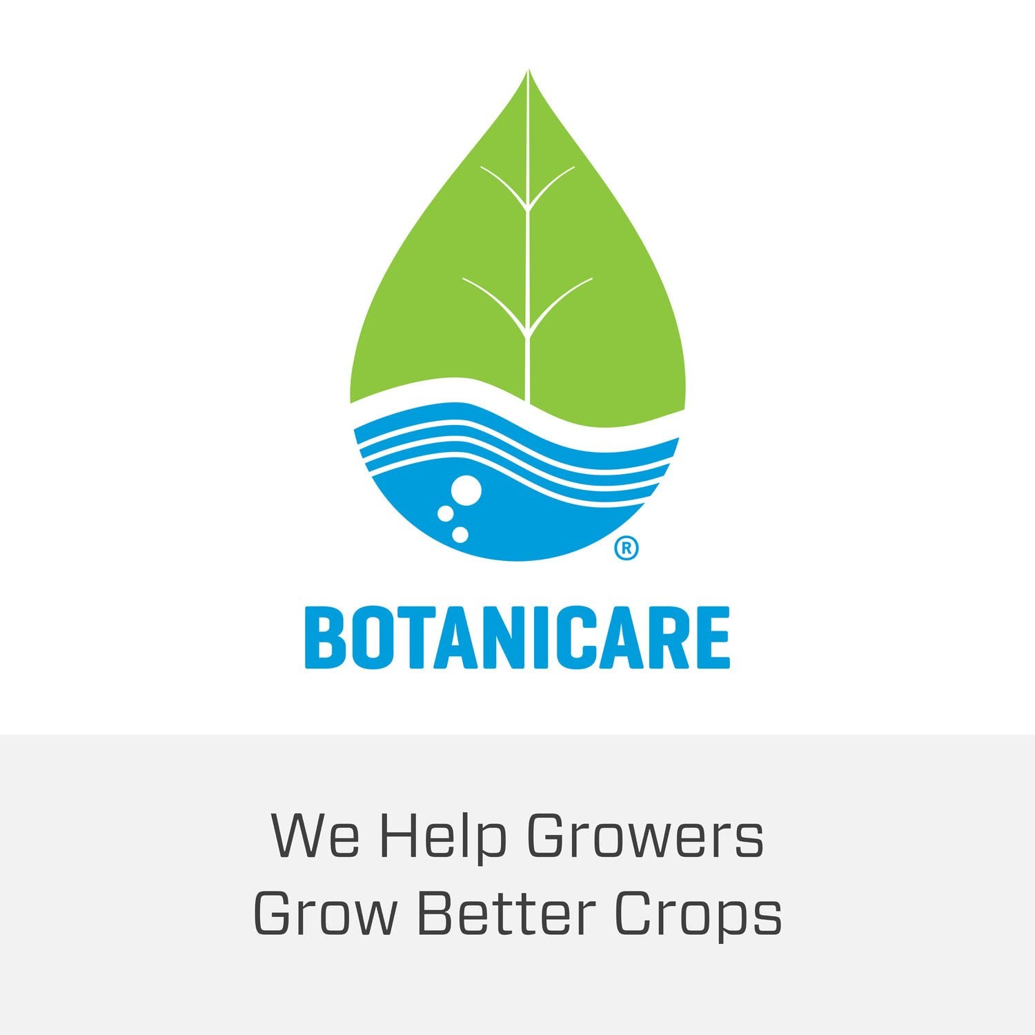 Botanicare Cal-Mag Plus, A Calcium, Magnesium, And Iron Plant Supplement,