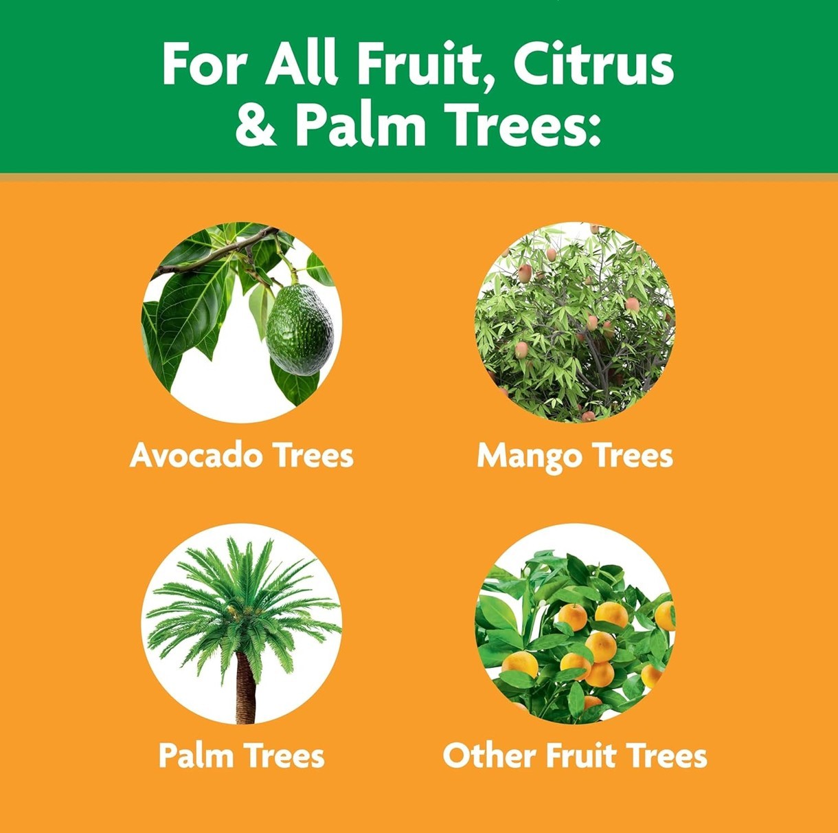 Miracle-Gro Fruit & Citrus Plant Food Spikes – 10-15-15 NPK Easy-To-Use