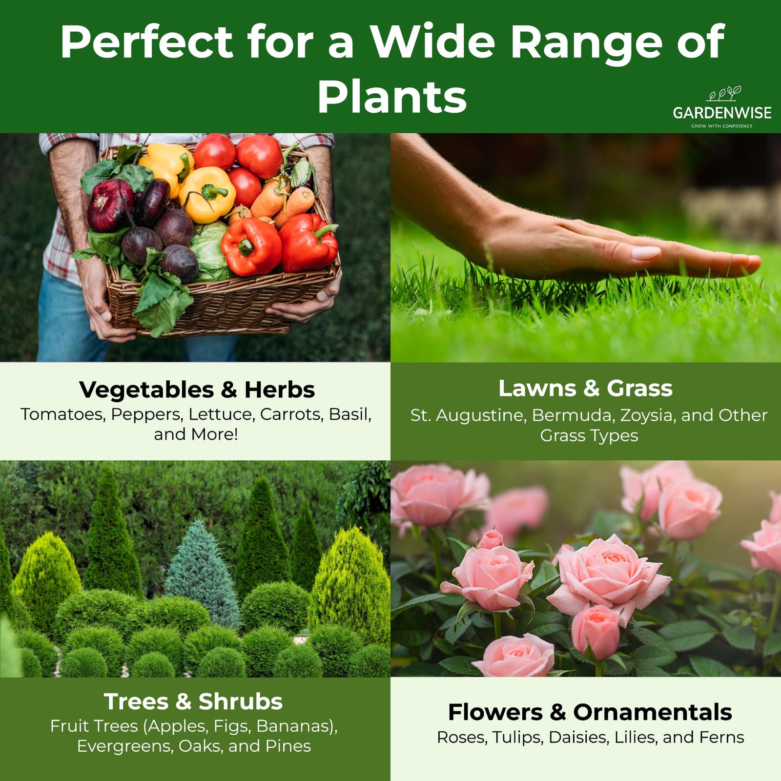 10-10-10 Plant Fertilizer Slow Release – 1/2 quart,