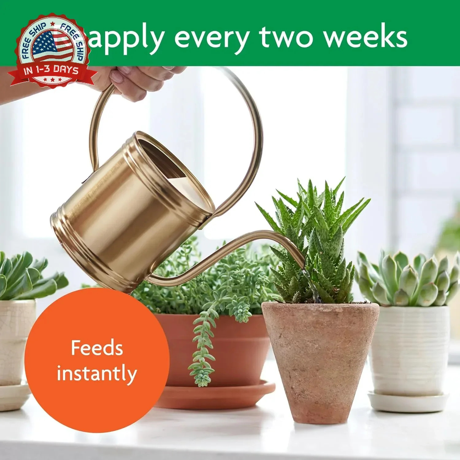 Miracle-Gro Succulent Plant Food – Liquid Fertilizer for Succulents and Cacti in